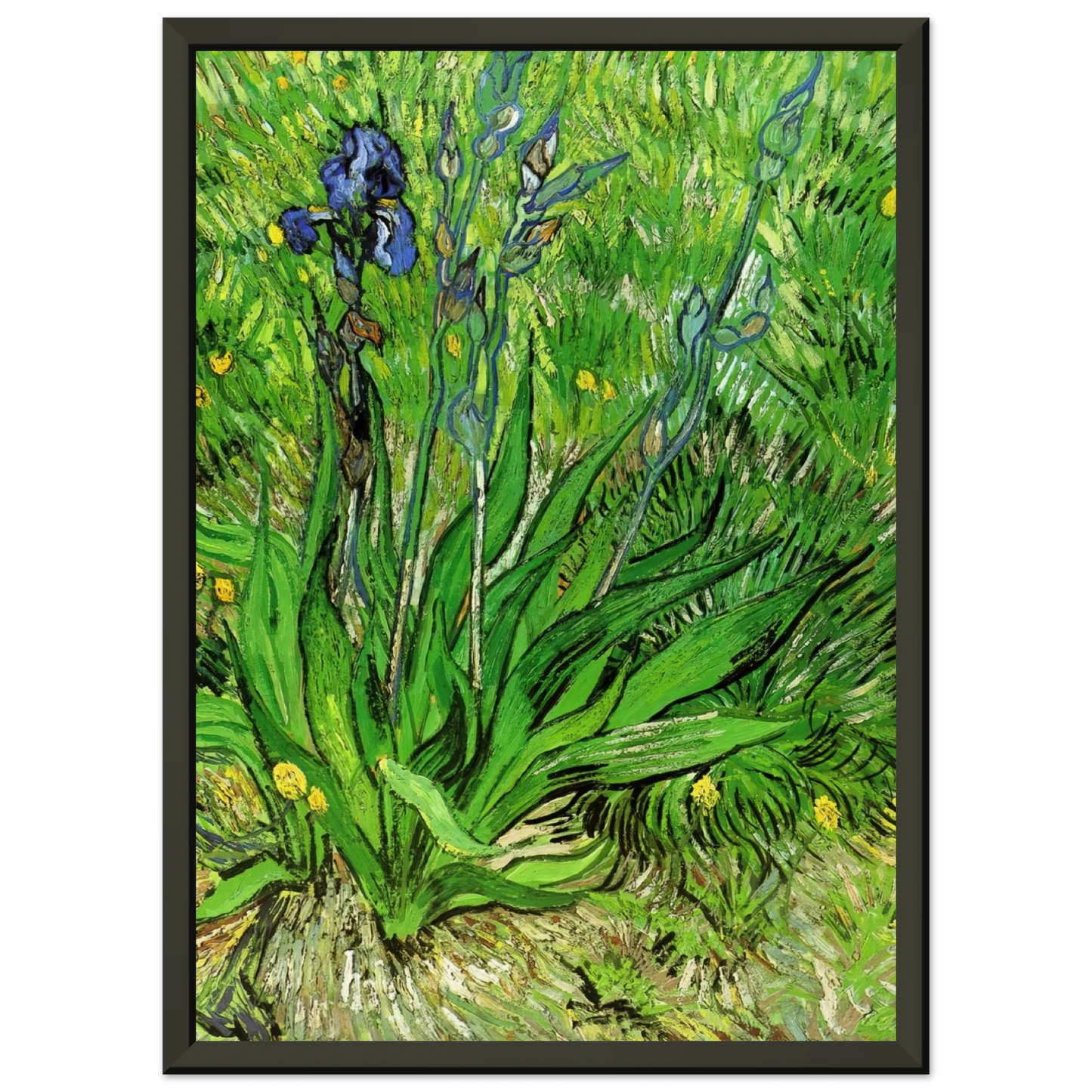 Vincent van Gogh  The Iris Framed Art Print  - Aluminum Frame - 40x50 cm / 16x20 inches