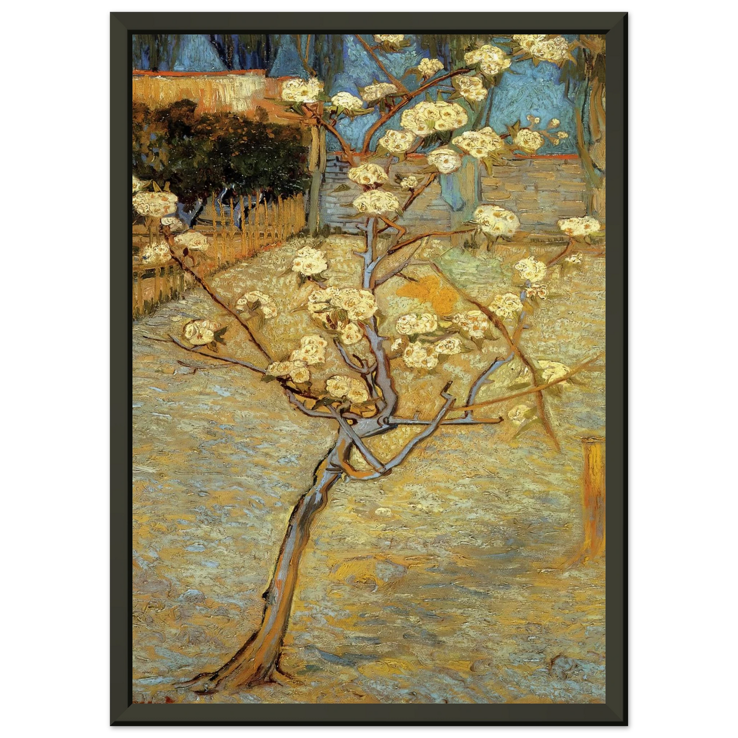 Vincent van Gogh Pear Tree in Blossom Framed Art Print - Aluminum Frame - 60x80 cm / 24x32 inches