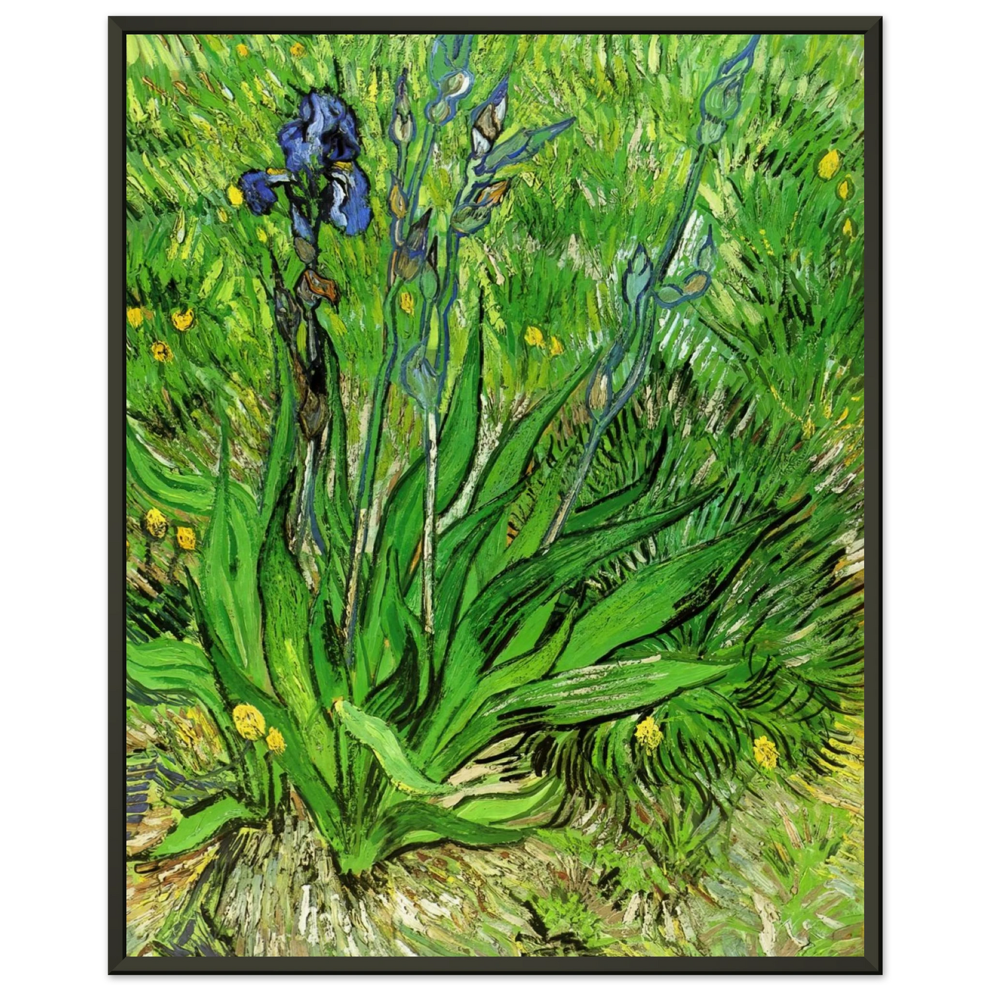 Vincent van Gogh  The Iris Framed Art Print  - Aluminum Frame - 60x80 cm / 24x32 inches
