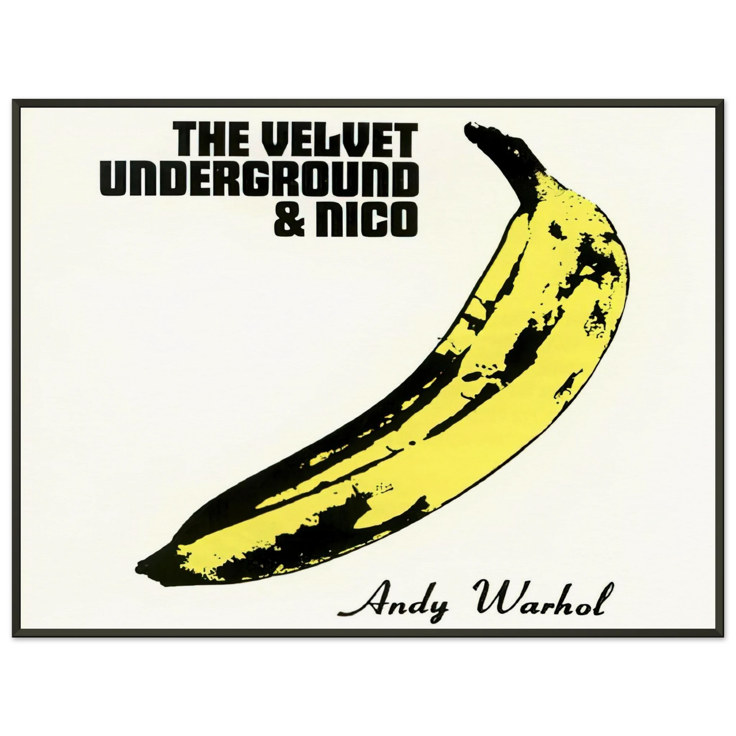 Andy Warhol Velvet Underground Nico Framed Art Print - Aluminum Frame - 40x50 cm / 16x20 inches