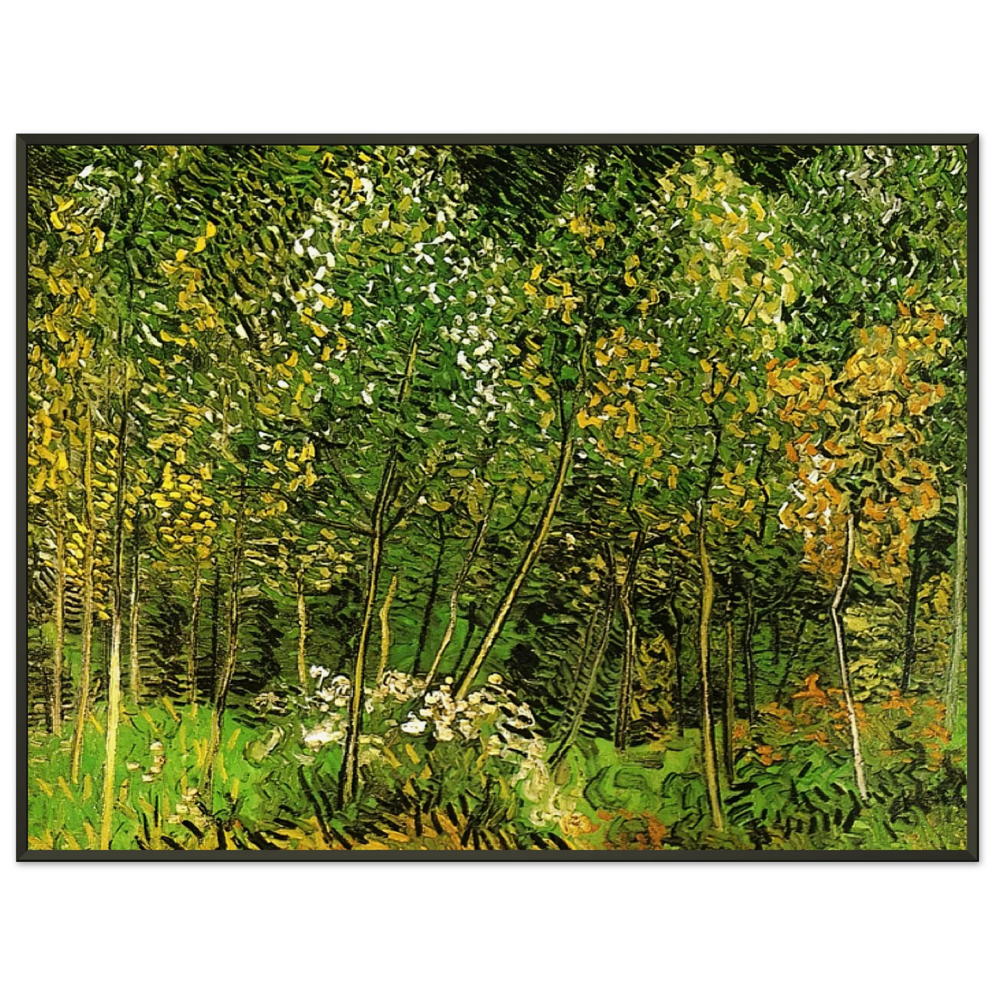 Vincent van Gogh  The Grove Framed Art Print  - Aluminum Frame - 40x50 cm / 16x20 inches