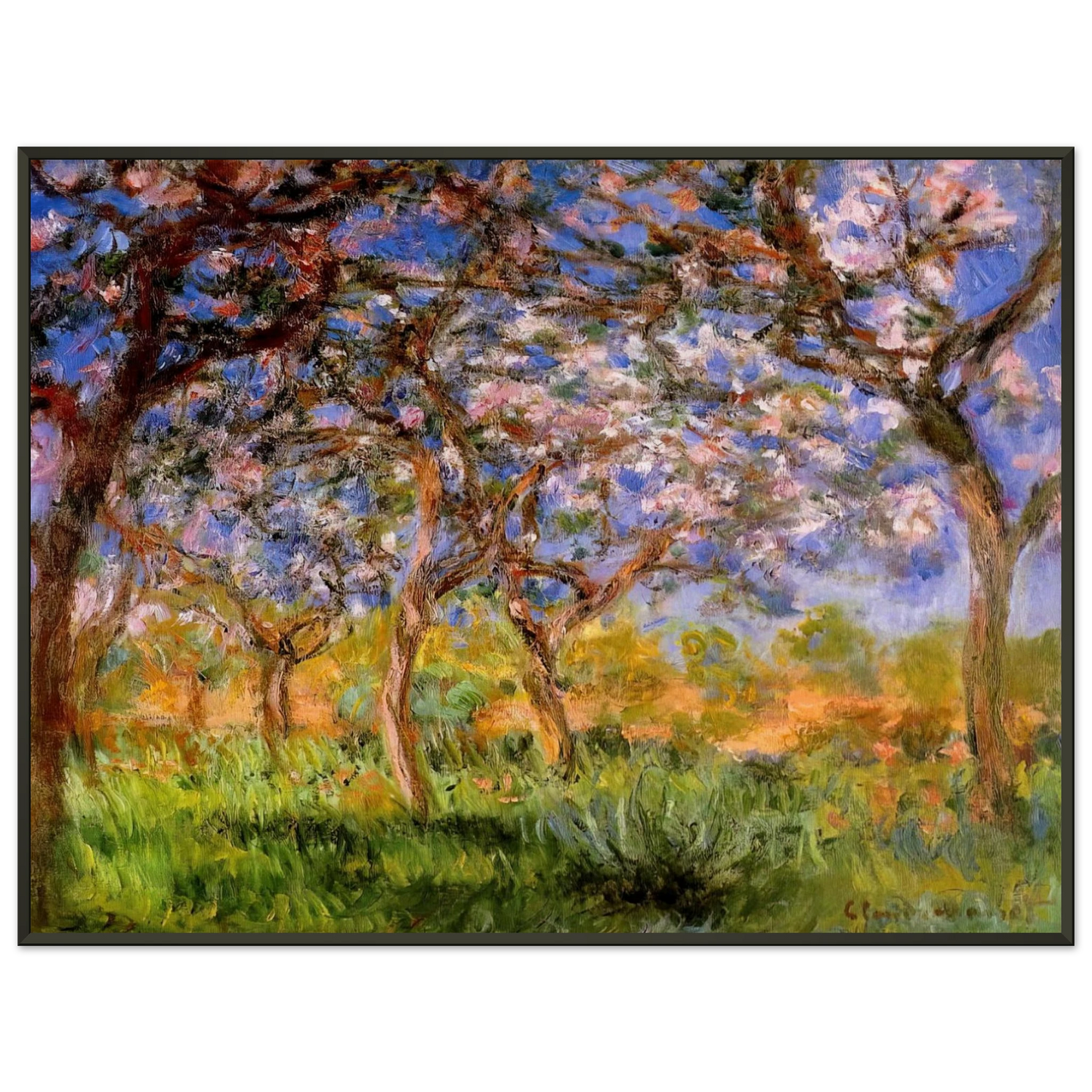 claude monet  Giverny in Springtime Framed Art Print  - Aluminum Frame - 70x100 cm / 28x40 inches