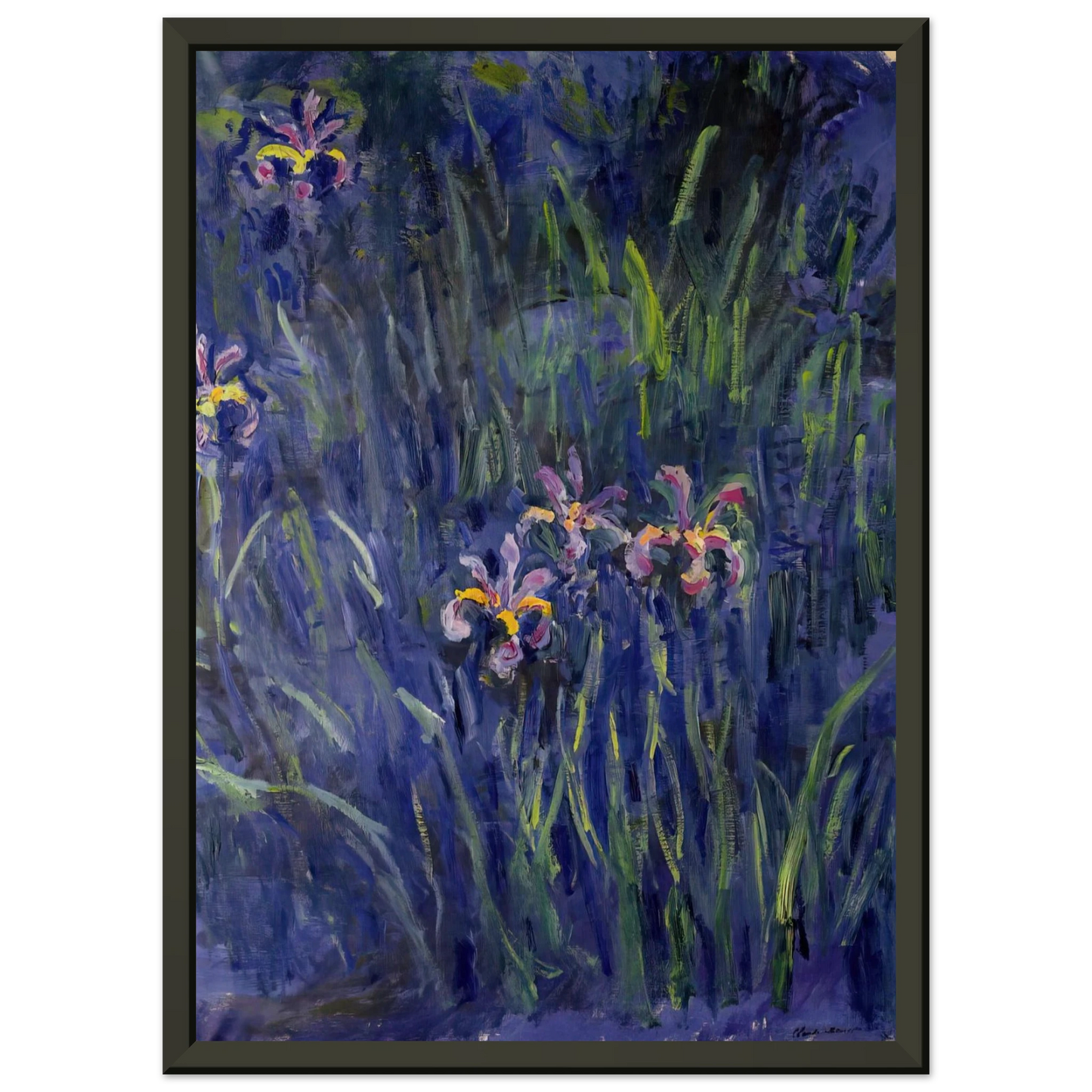 claude monet  Irises 2 Framed Art Print  - Aluminum Frame - 60x80 cm / 24x32 inches