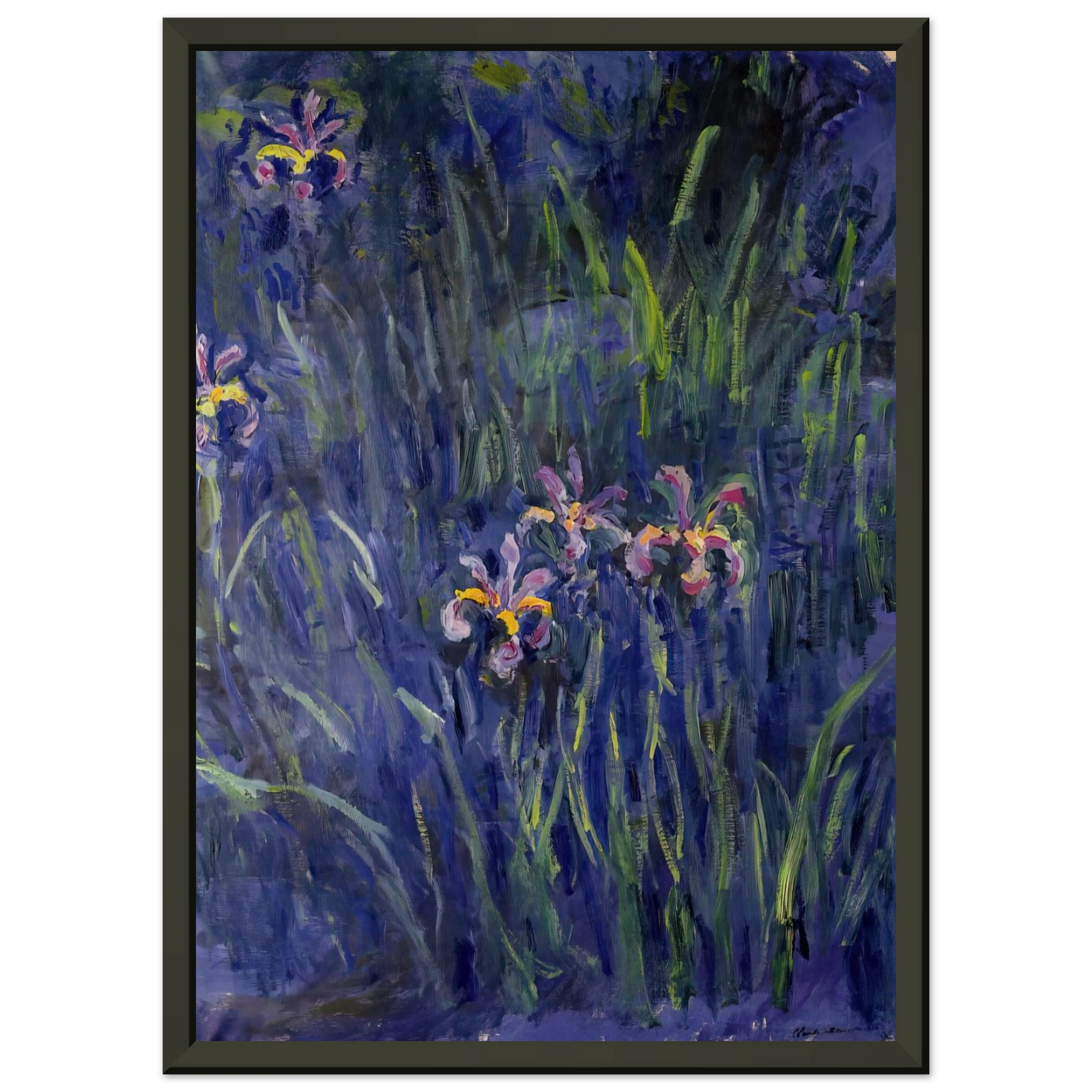 claude monet  Irises 2 Framed Art Print  - Aluminum Frame - 60x80 cm / 24x32 inches