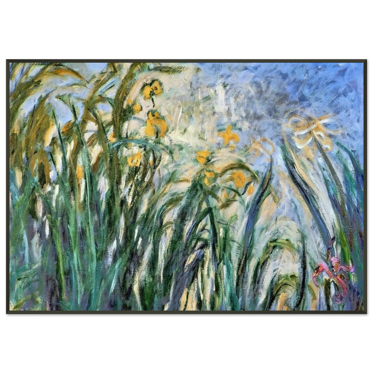 claude monet Yellow Irises and Malva Framed Art Print - Aluminum Frame - 21x29.7 cm / 8x12"