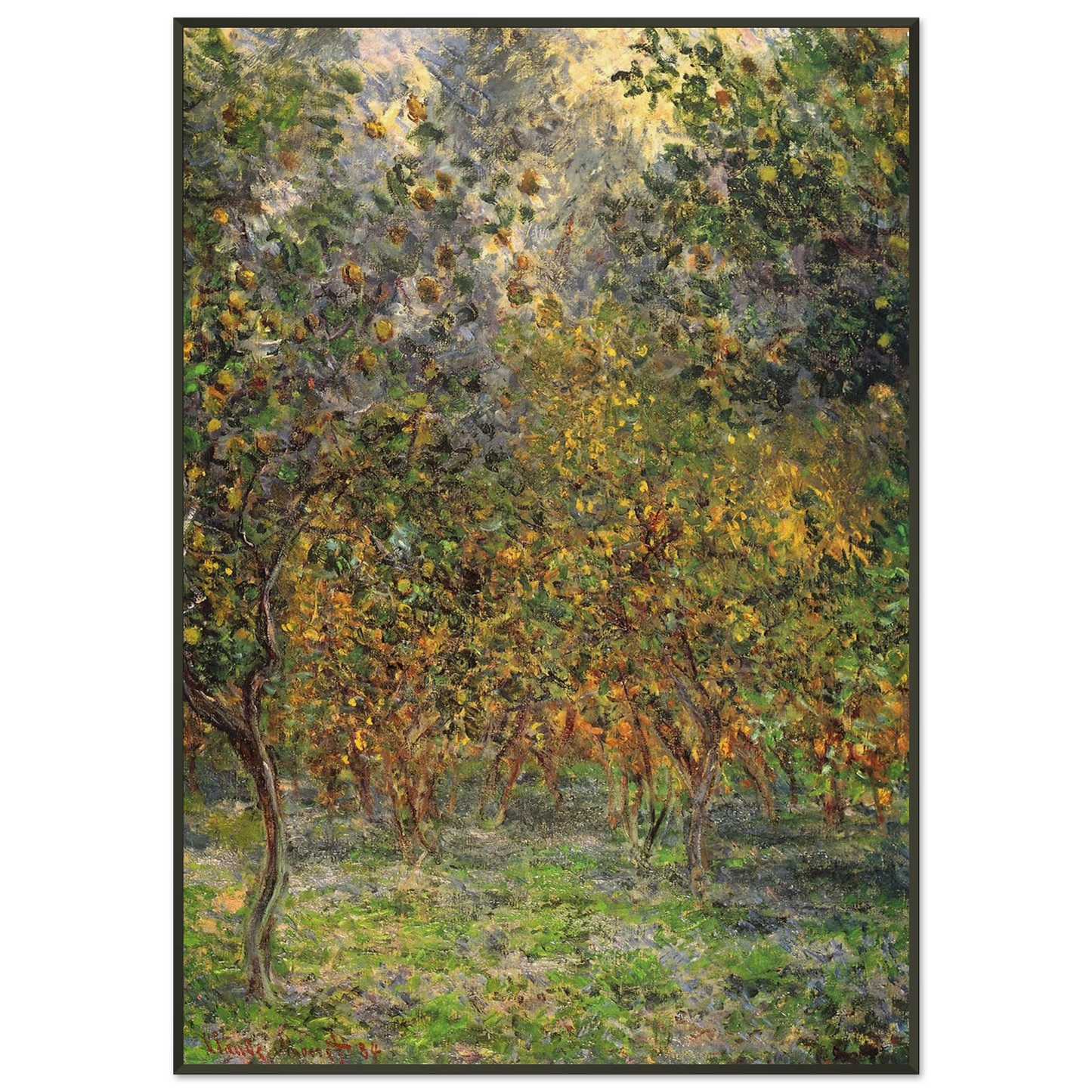 claude monet Under the Lemon Trees Framed Art Print - Aluminum Frame - 21x29.7 cm / 8x12"