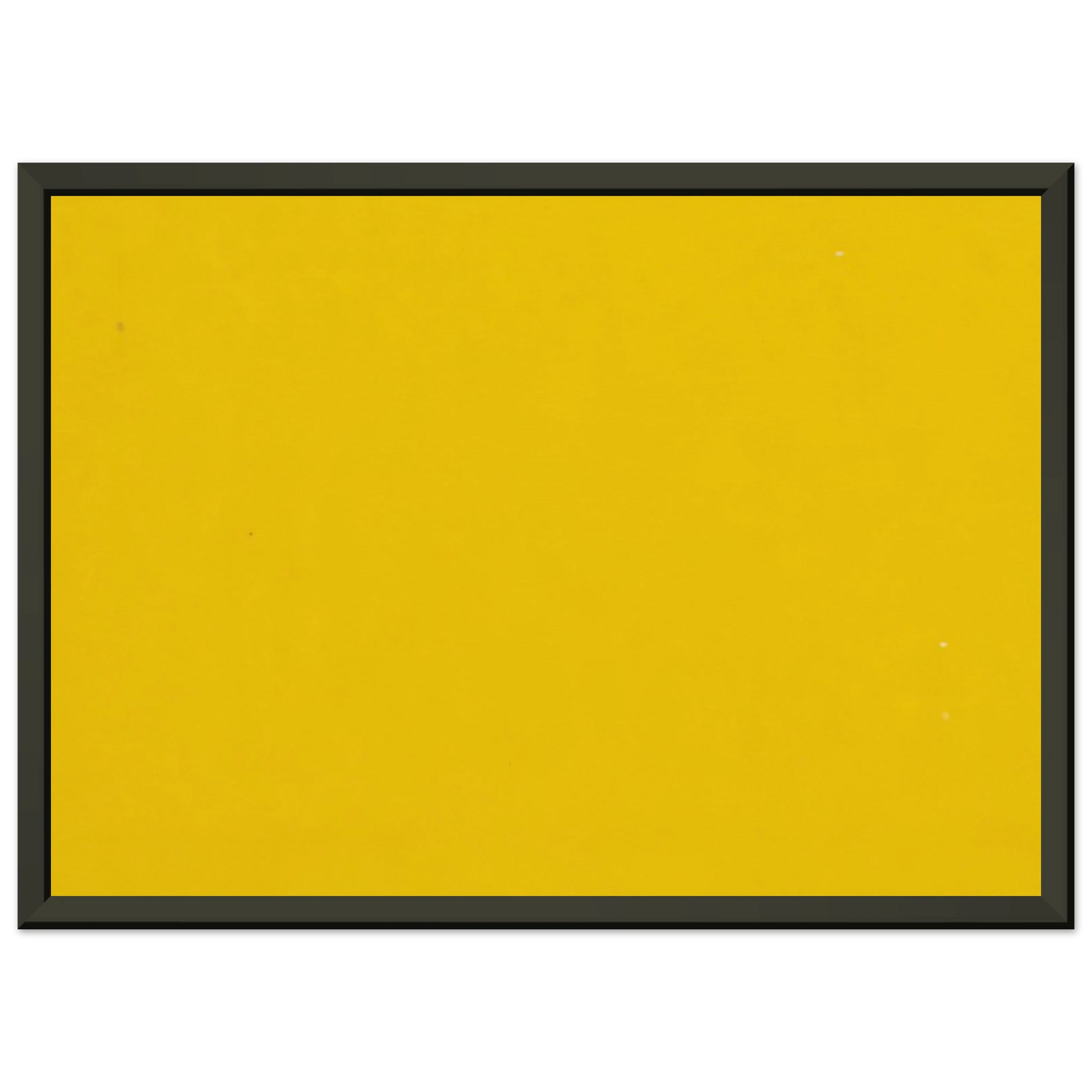 03005ea6-b4da-40be-b355-c24fb3b69e3f