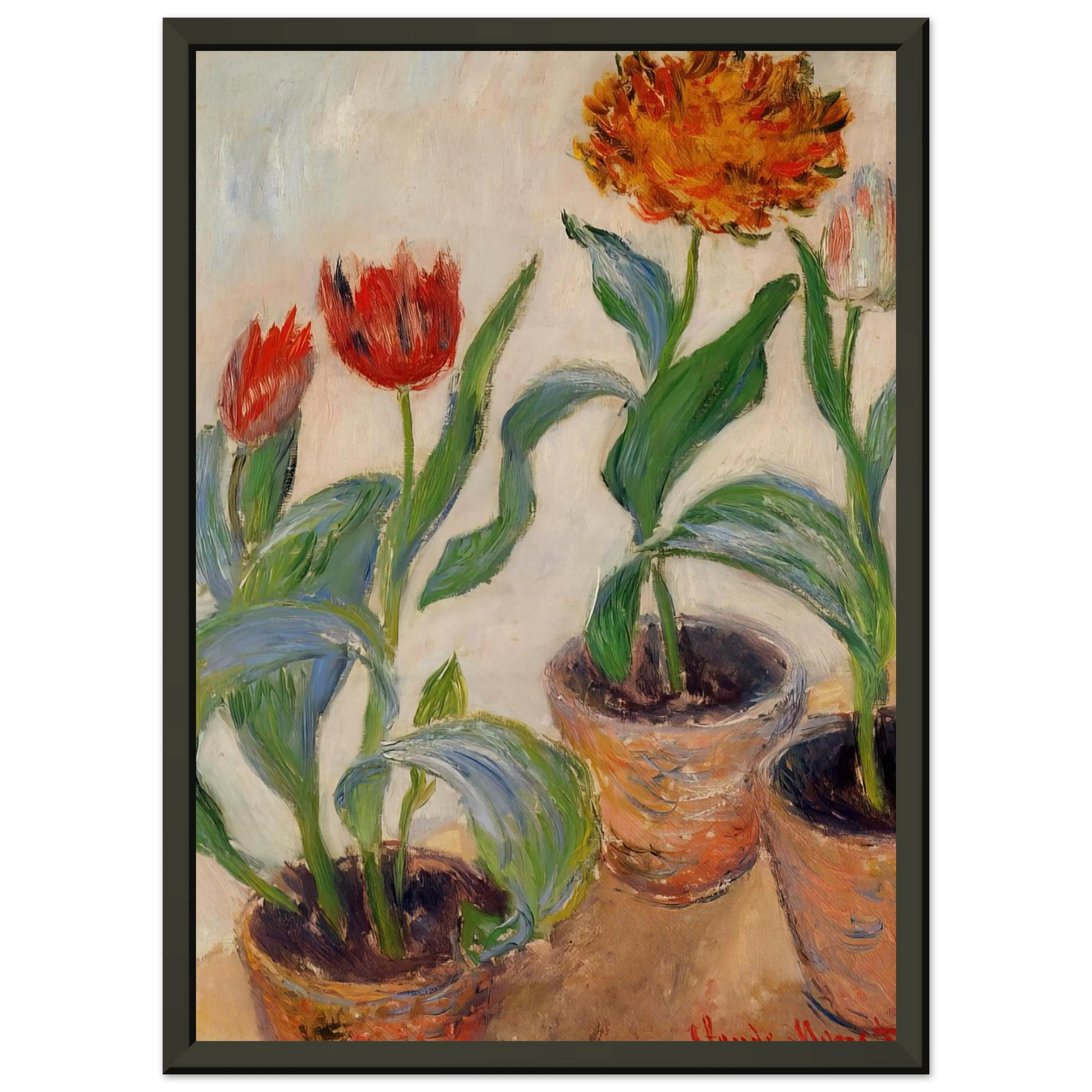 claude monet  Three Pots of Tulips Framed Art Print  - Aluminum Frame - 60x80 cm / 24x32 inches