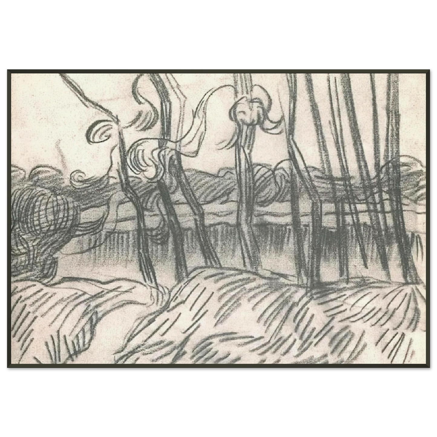Vincent van Gogh  A Row of Bare Trees Framed Art Print  - Aluminum Frame - 21x29.7 cm / 8x12"