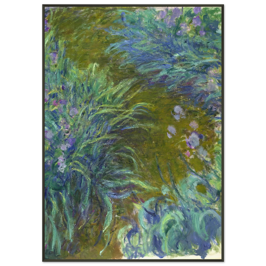 claude monet  Path through the Irises 02 Framed Art Print  - Aluminum Frame - 21x29.7 cm / 8x12"