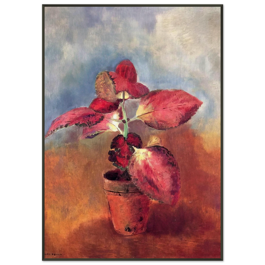 Odilon Redon  BEGONIA IN A POT Framed Art Print  - Aluminum Frame - 21x29.7 cm / 8x12"