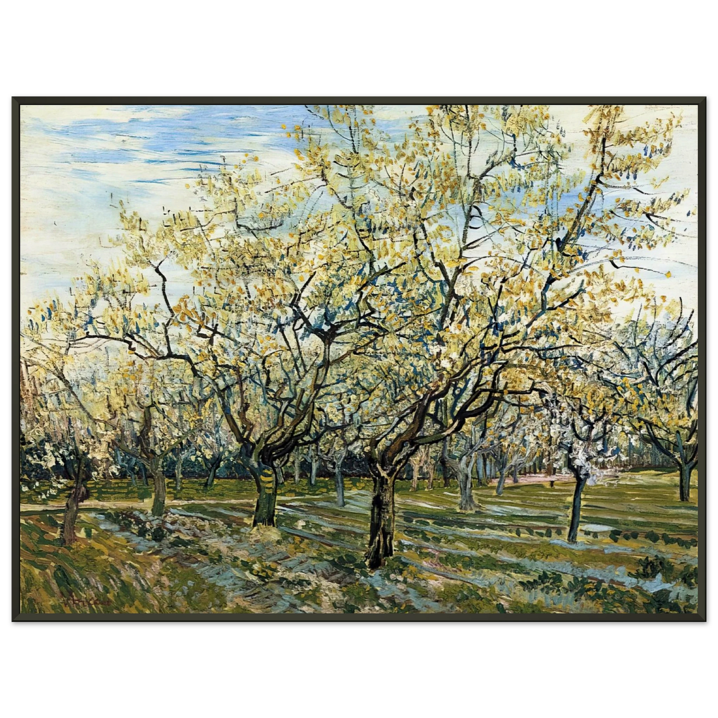 Vincent van Gogh  Orchard with Blossoming Plum Trees Framed Art Print  - Aluminum Frame - 70x100 cm / 28x40 inches