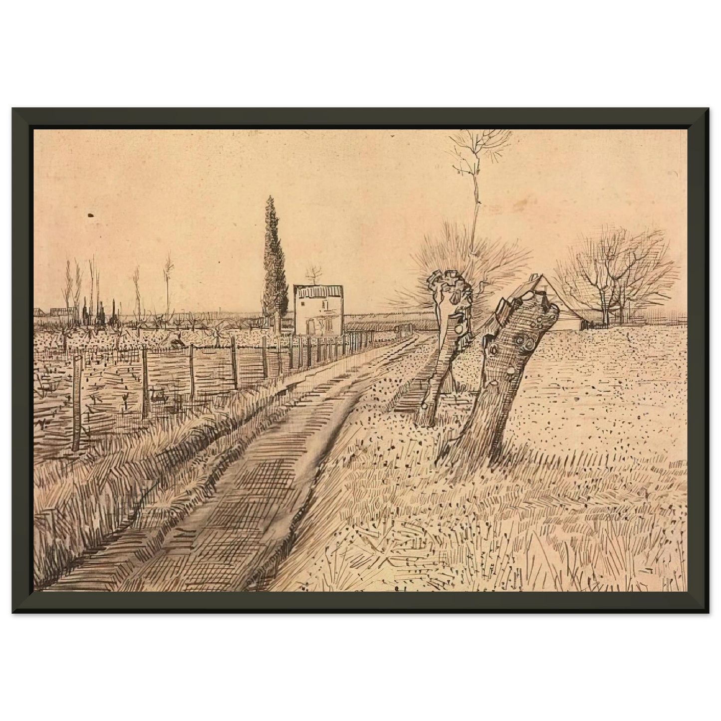 Vincent van Gogh  Landscape with Path and Pollard Trees Framed Art Print  - Aluminum Frame - 60x80 cm / 24x32 inches