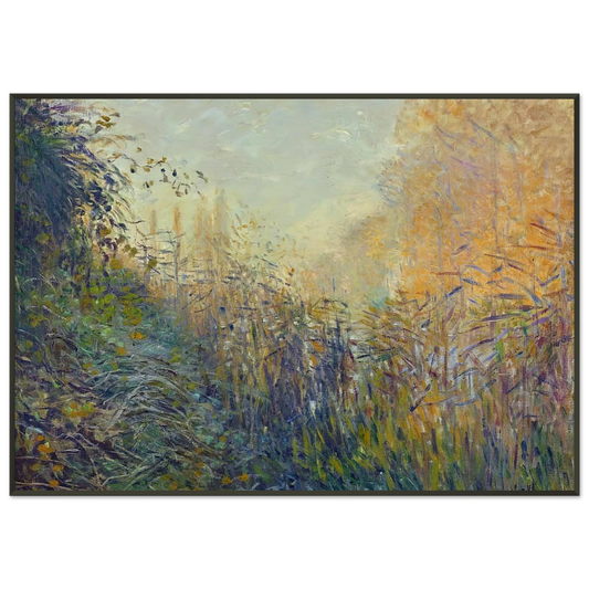 claude monet  Study Rushes at Argenteuil Framed Art Print  - Aluminum Frame - 21x29.7 cm / 8x12"