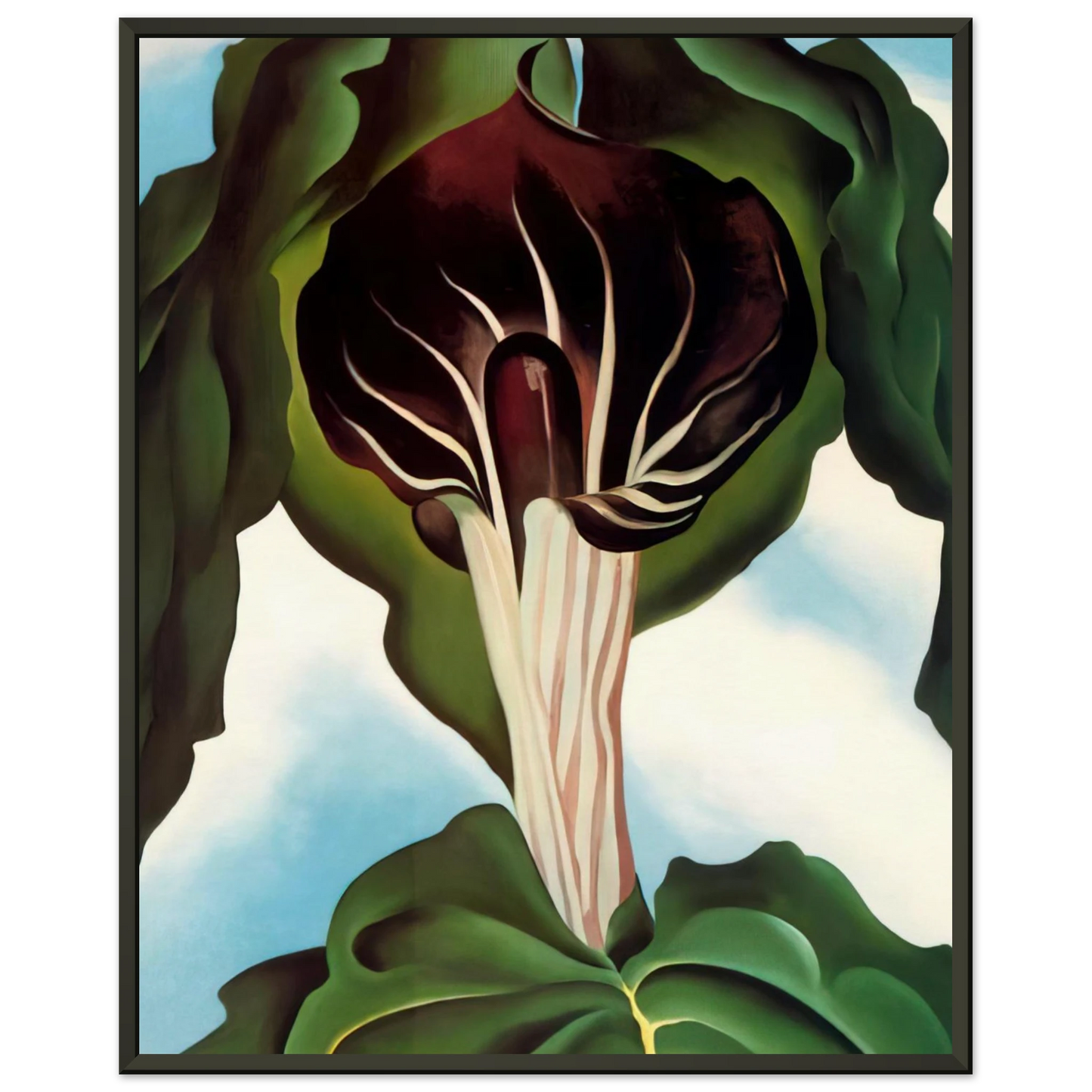 Georgia OKeeffe  JackinthePulpit III Framed Art Print  - Aluminum Frame - 40x50 cm / 16x20 inches