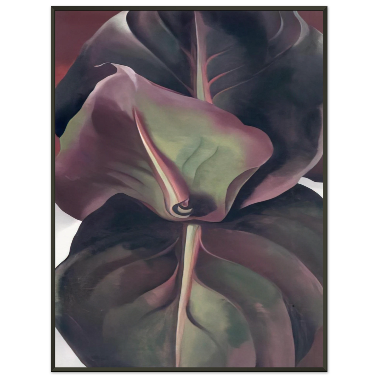 Georgia OKeeffe  Canna Leaves Framed Art Print  - Aluminum Frame - 40x50 cm / 16x20 inches