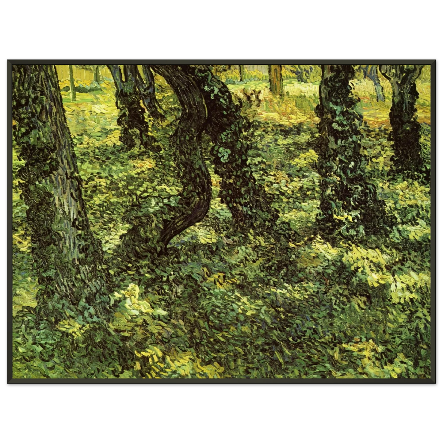 Vincent van Gogh  Trunks of Trees with Ivy Framed Art Print  - Aluminum Frame - 60x80 cm / 24x32 inches