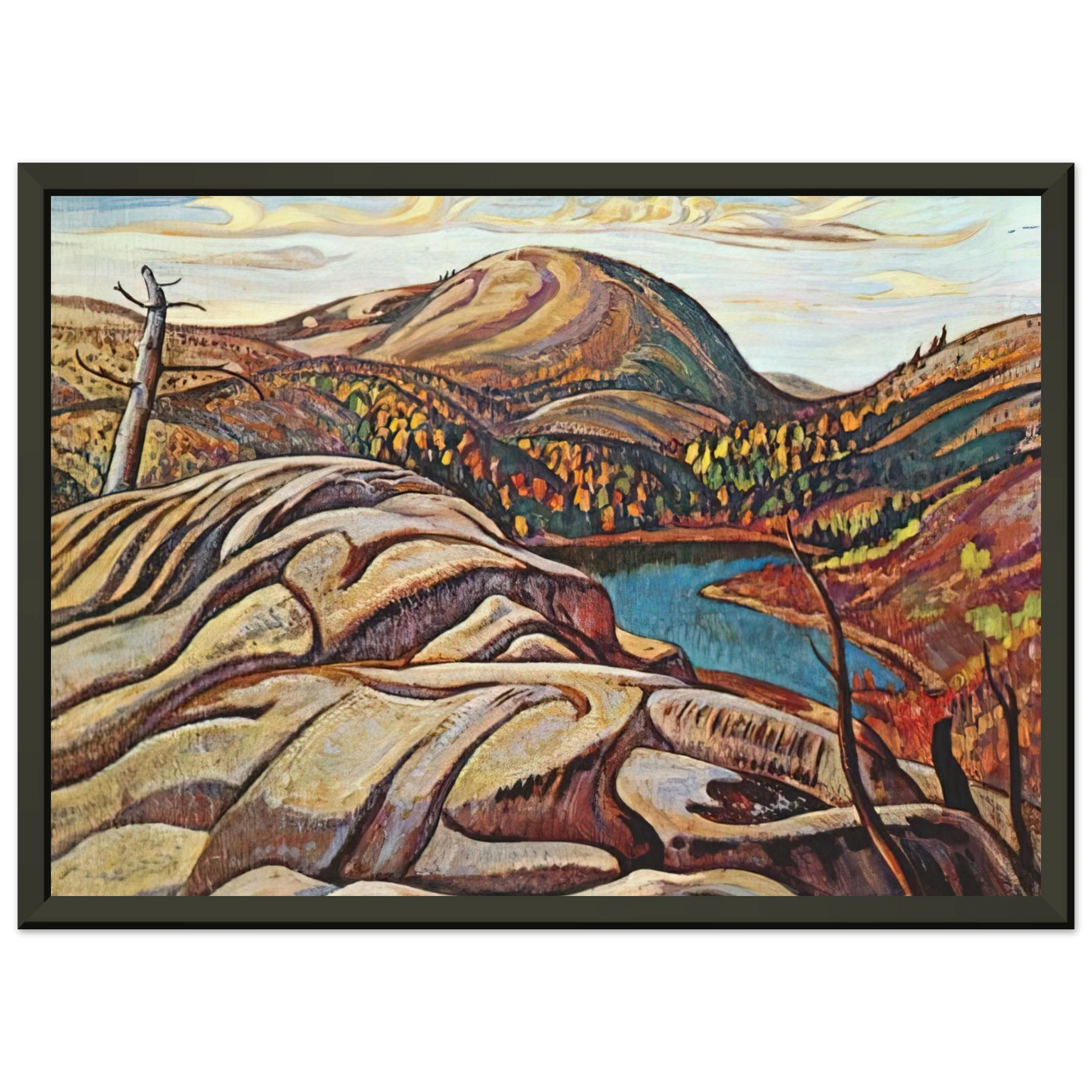 3376f49b-0c64-418c-add7-ab74f7796f47