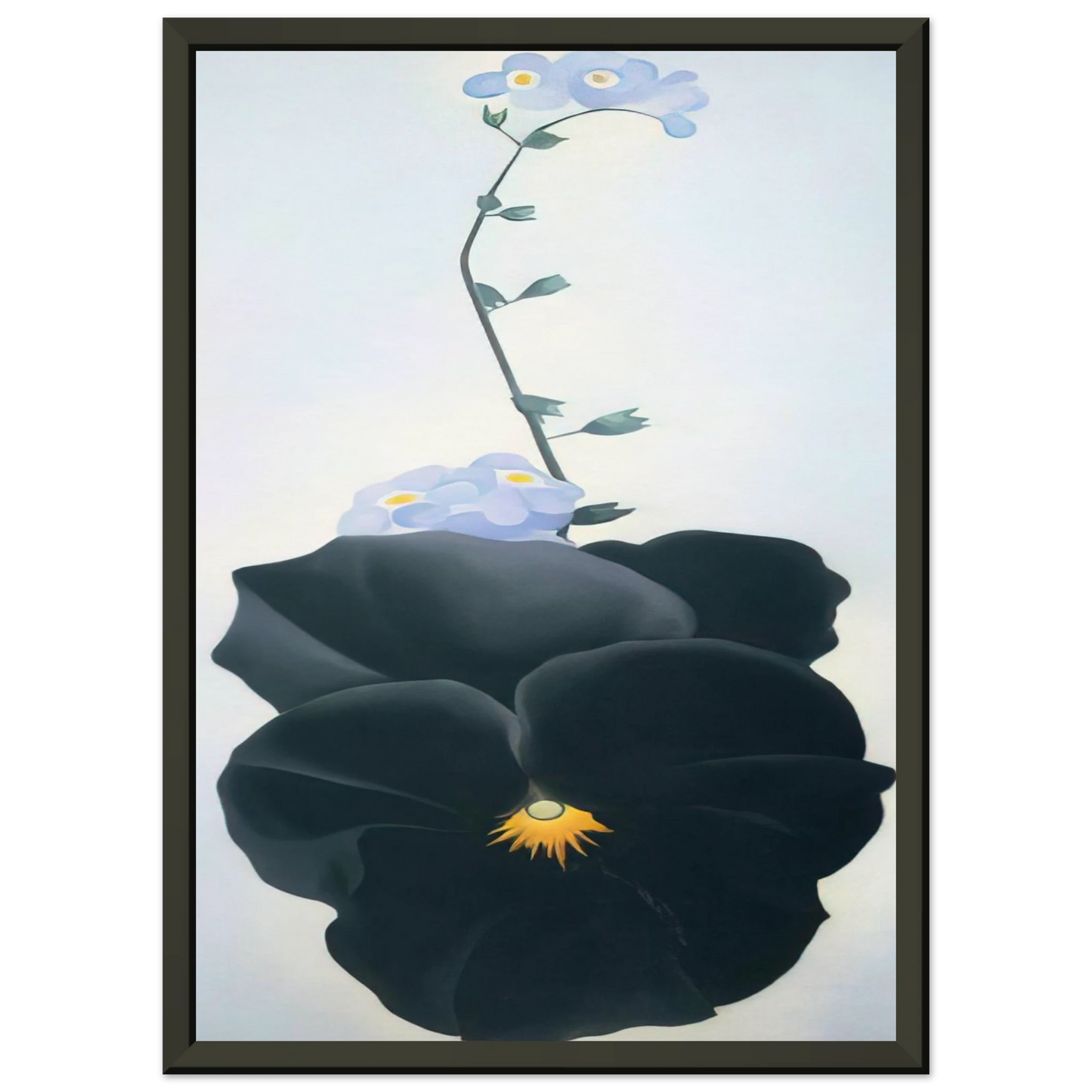 Georgia OKeeffe  Pansy Framed Art Print  - Aluminum Frame - 70x100 cm / 28x40 inches