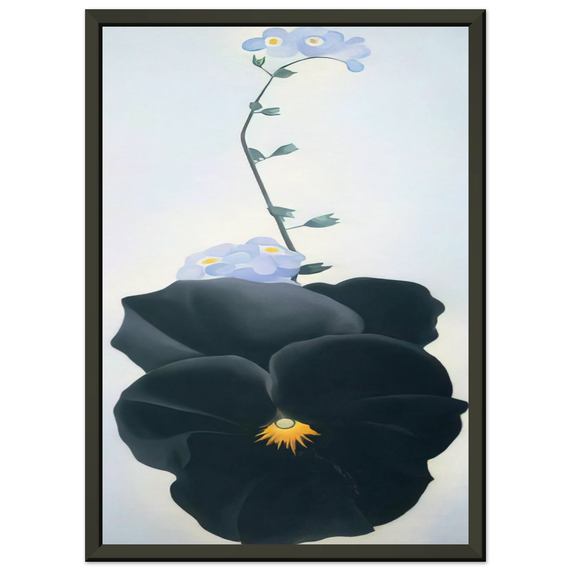 Georgia OKeeffe  Pansy Framed Art Print  - Aluminum Frame - 70x100 cm / 28x40 inches