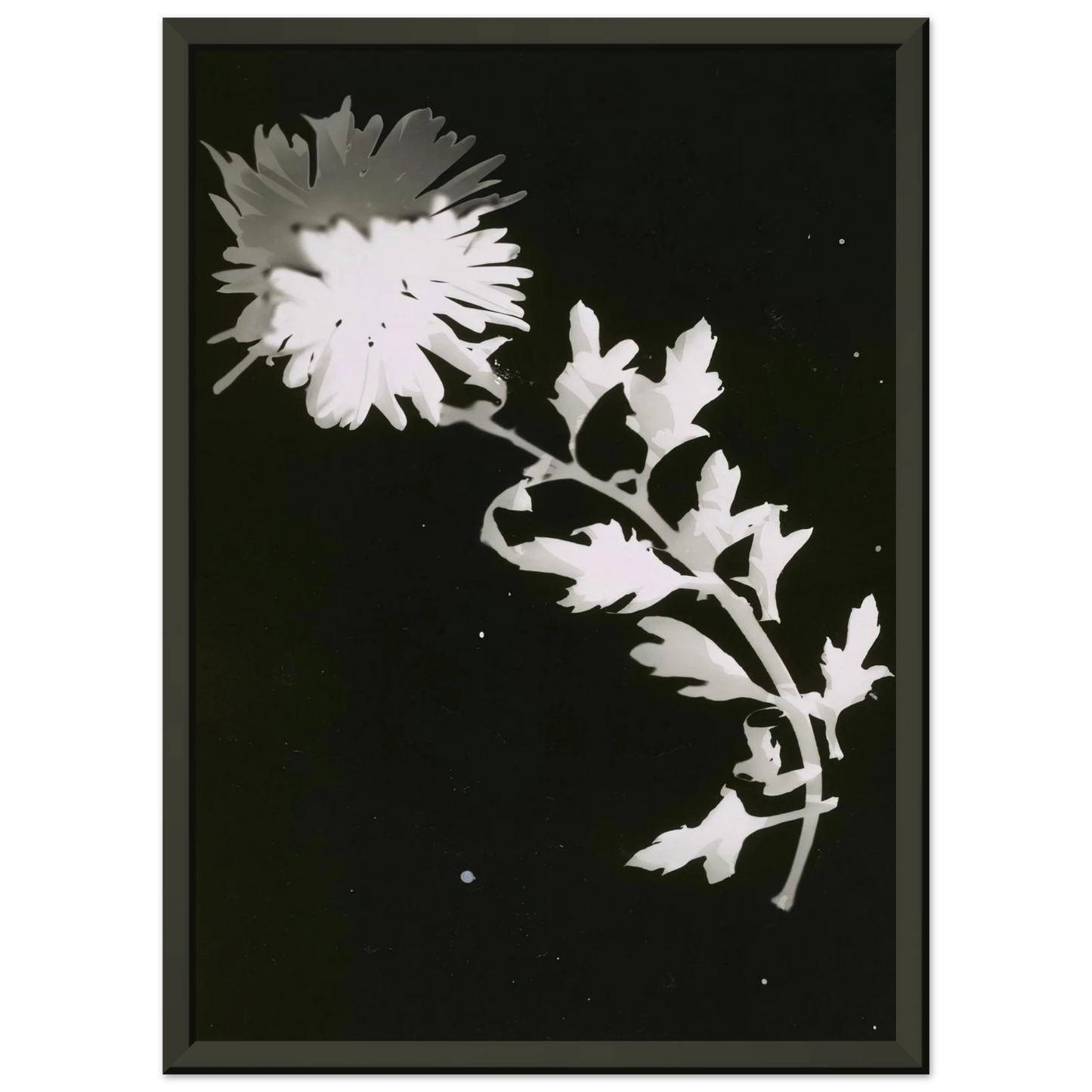 3dd5a8a1-0959-4a69-b800-63bff83abb9d