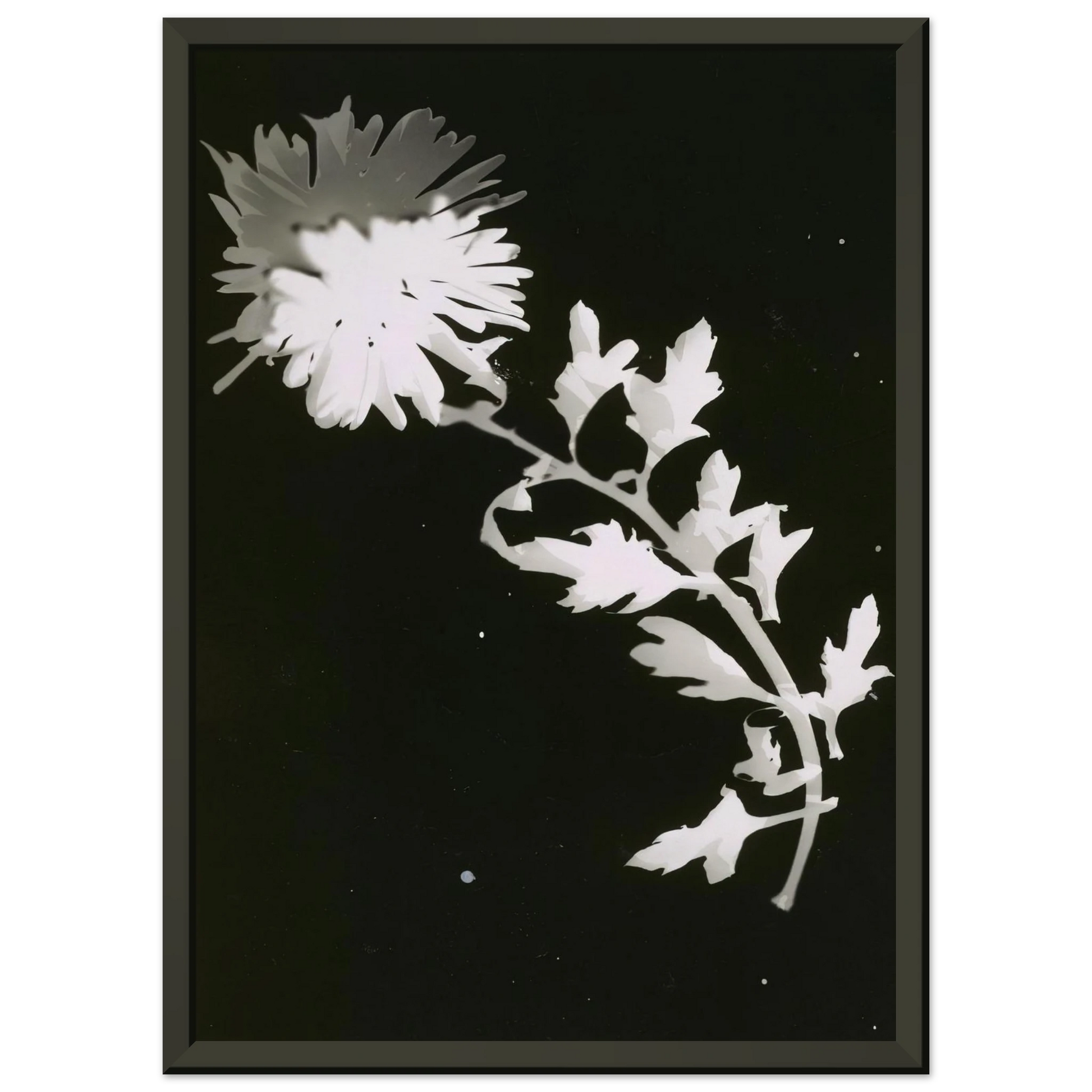 3dd5a8a1-0959-4a69-b800-63bff83abb9d