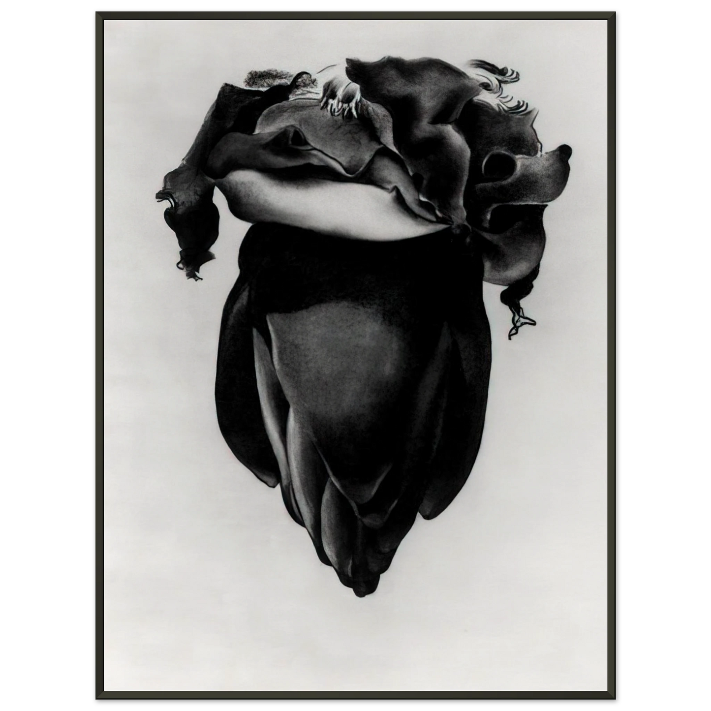 Georgia OKeeffe  Banana Flower Framed Art Print  - Aluminum Frame - 60x80 cm / 24x32 inches