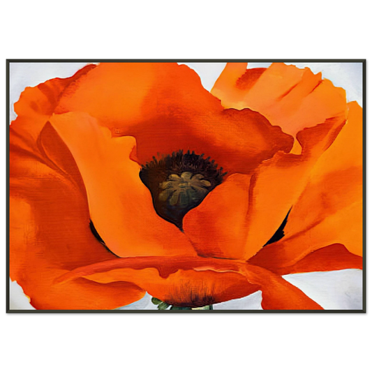 482a8b00-cf06-4f3f-ad6d-8d96c302ef01