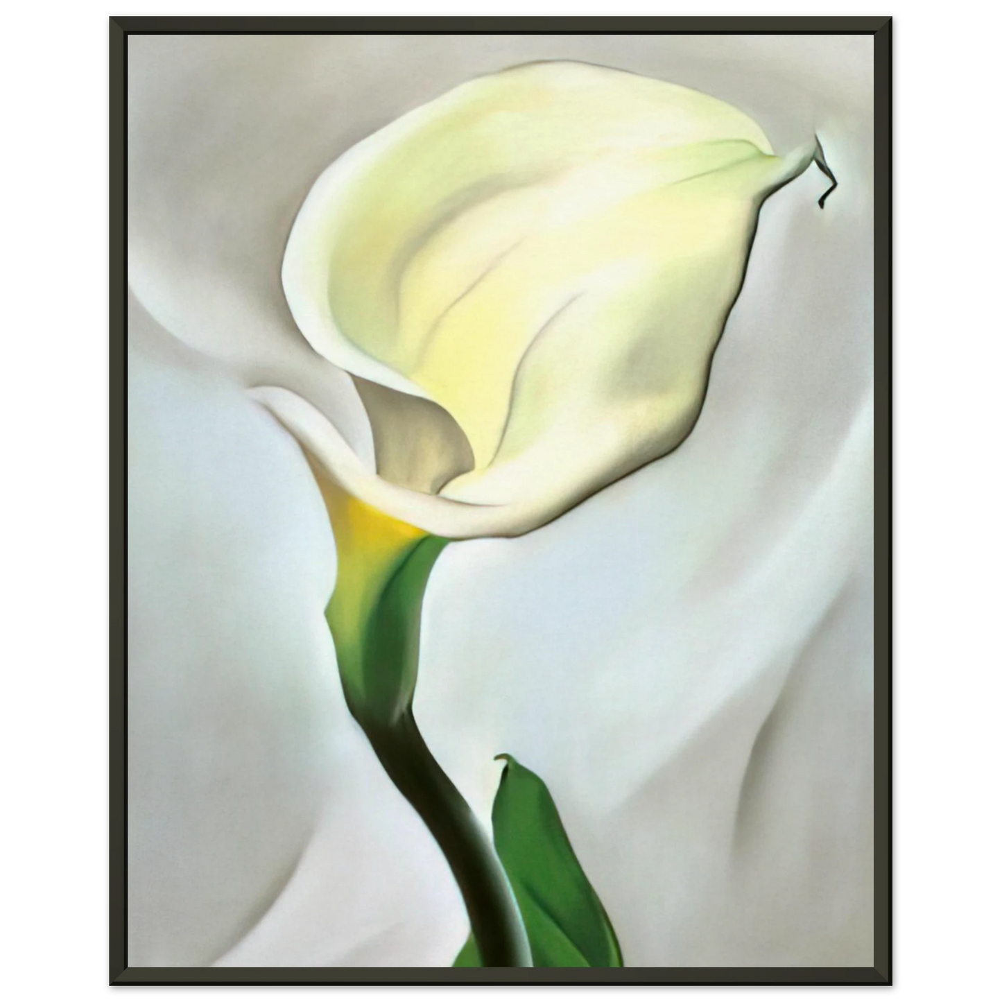 Georgia OKeeffe  Calla Lily Turned Away Framed Art Print  - Aluminum Frame - 40x50 cm / 16x20 inches