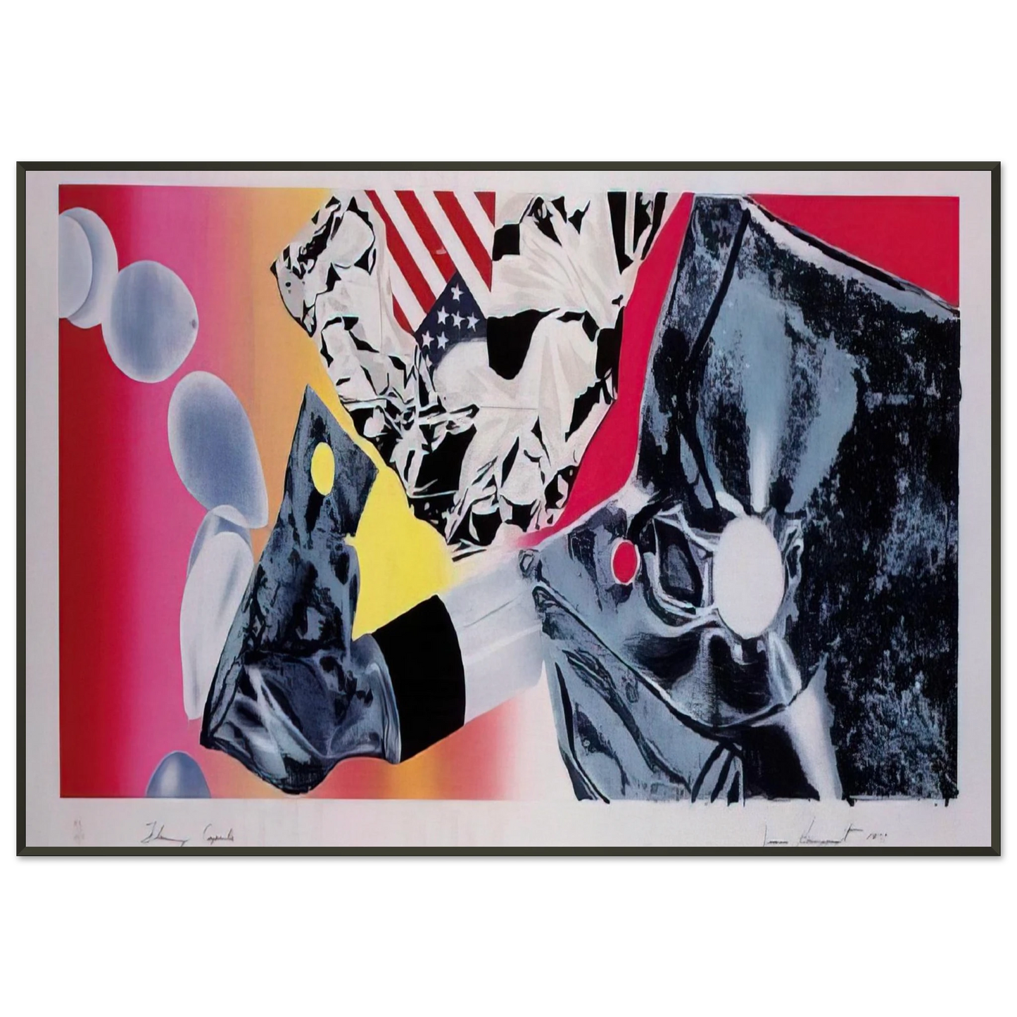 James Rosenquist  Flamingo Capsule Framed Art Print  - Aluminum Frame - 21x29.7 cm / 8x12"
