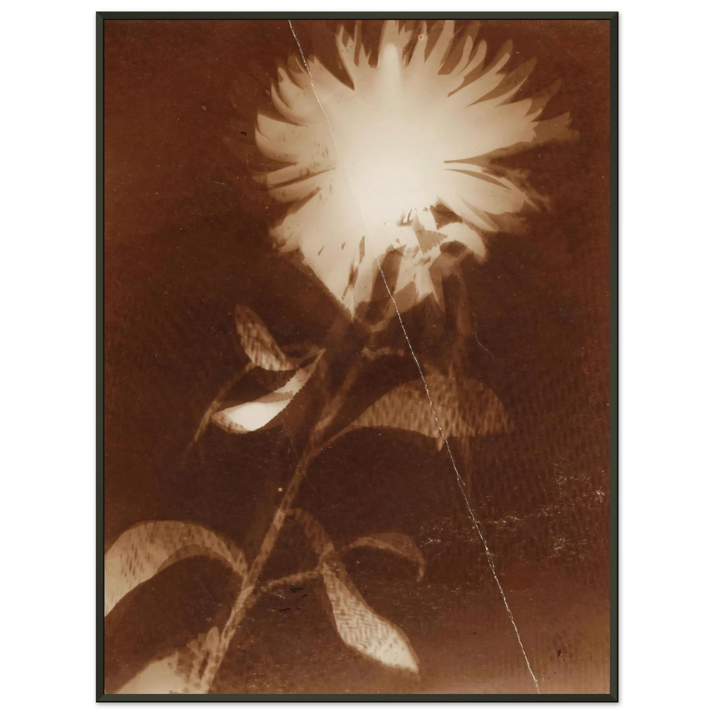 53d4514b-4cff-48a1-9d62-a3a51566b6e8