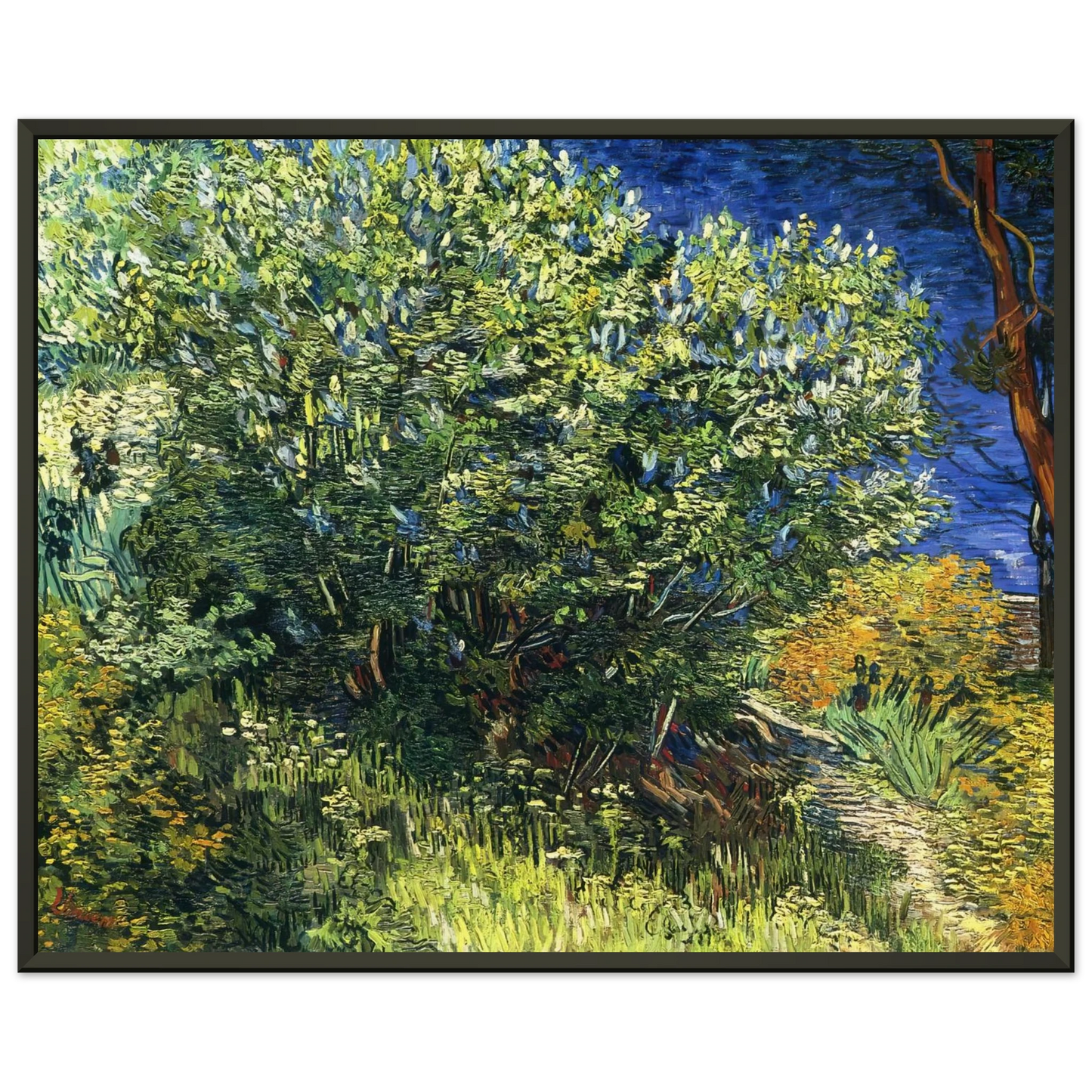 Vincent van Gogh  Lilac Bush Framed Art Print  - Aluminum Frame - 60x80 cm / 24x32 inches