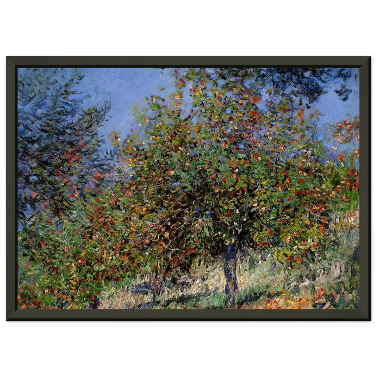 claude monet  Apple Trees on the Chantemesle Hill Framed Art Print  - Aluminum Frame - 40x50 cm / 16x20 inches