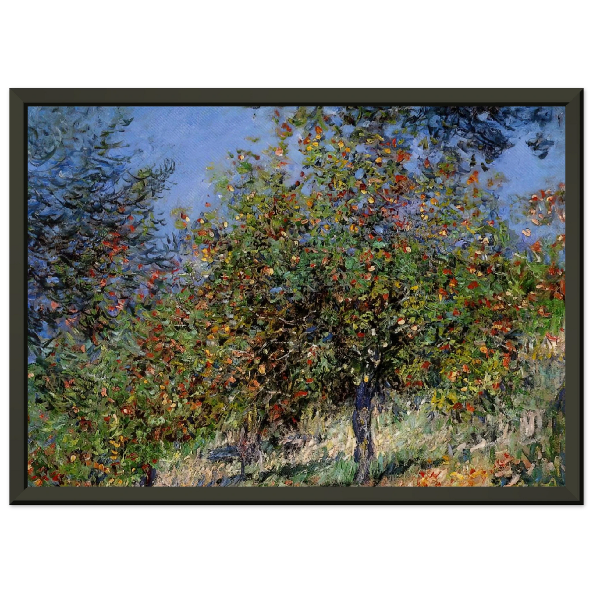 claude monet  Apple Trees on the Chantemesle Hill Framed Art Print  - Aluminum Frame - 40x50 cm / 16x20 inches