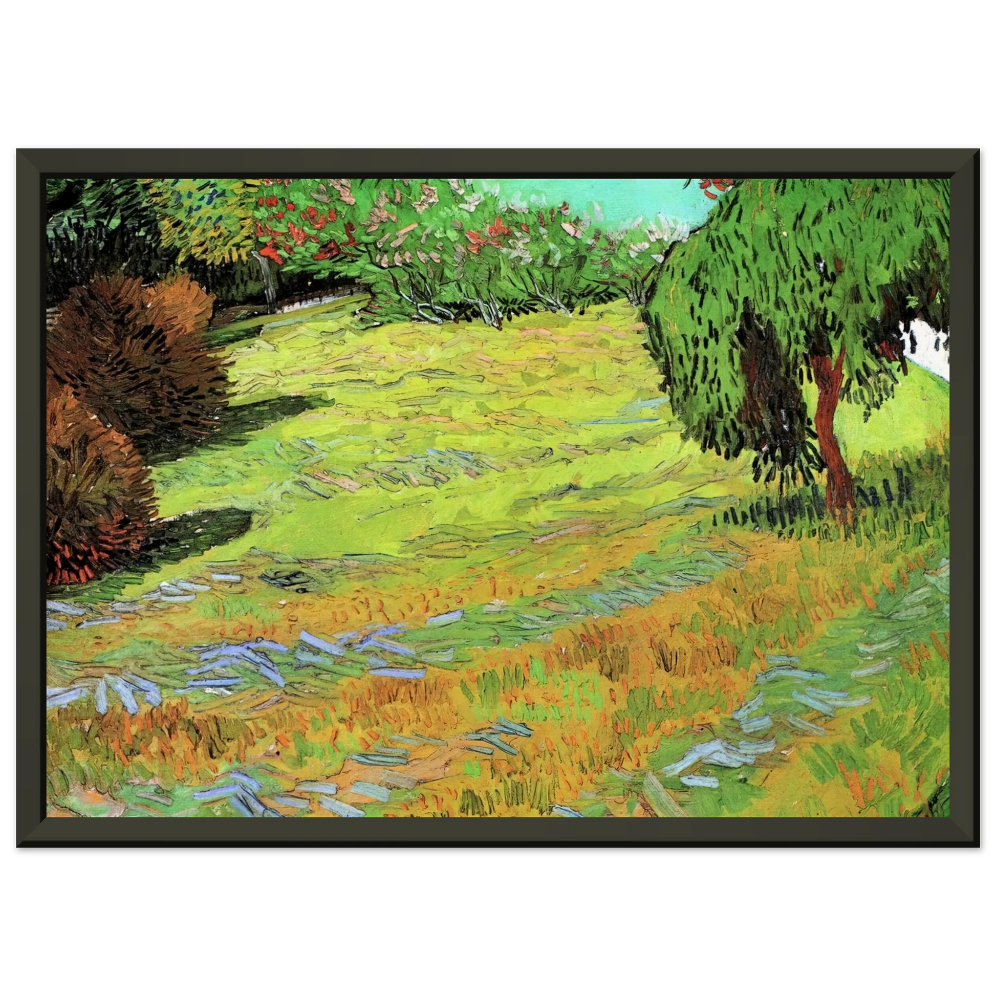 Vincent van Gogh  Sunny Lawn in a Public Park Framed Art Print  - Aluminum Frame - 40x50 cm / 16x20 inches