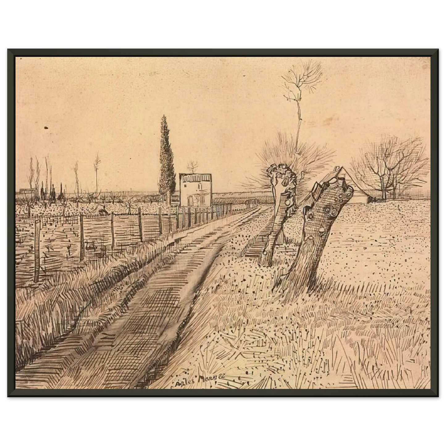 Vincent van Gogh  Landscape with Path and Pollard Trees Framed Art Print  - Aluminum Frame - 70x100 cm / 28x40 inches