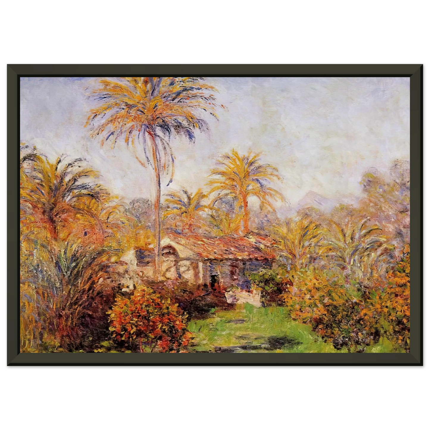 claude monet  Small Country Farm in Bordighera Framed Art Print  - Aluminum Frame - 60x80 cm / 24x32 inches