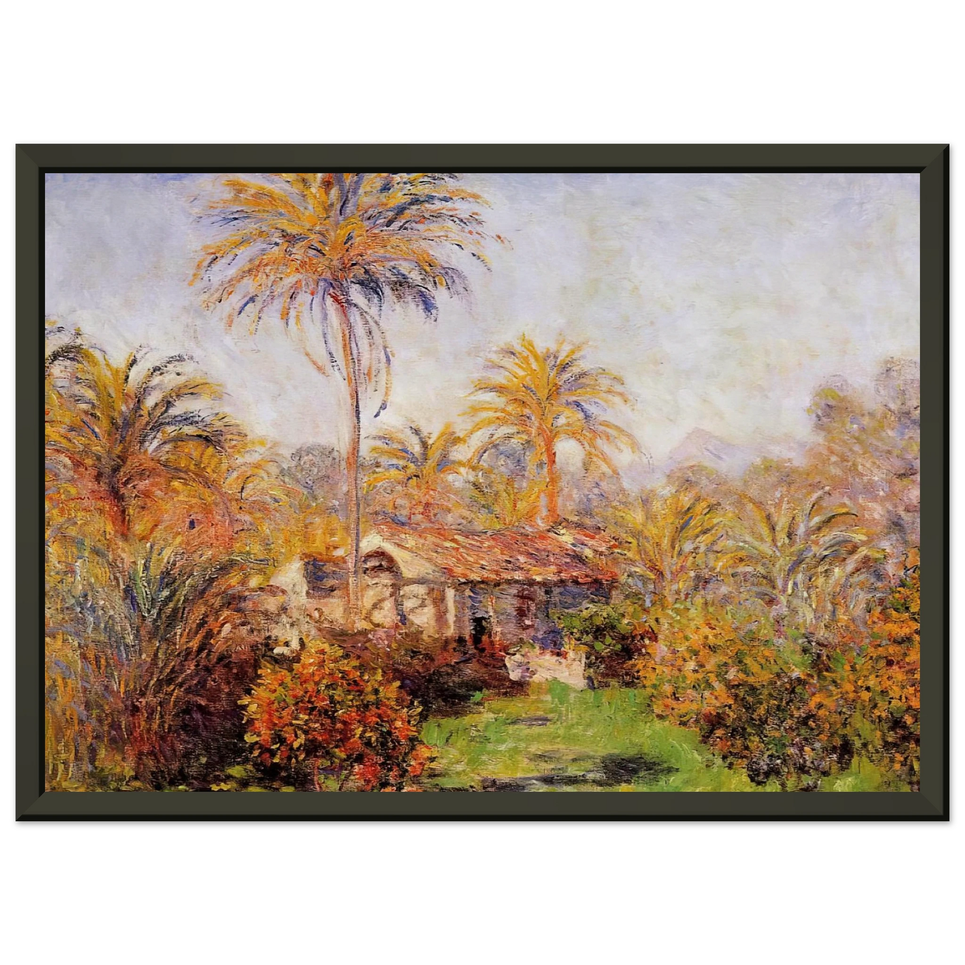 claude monet  Small Country Farm in Bordighera Framed Art Print  - Aluminum Frame - 60x80 cm / 24x32 inches