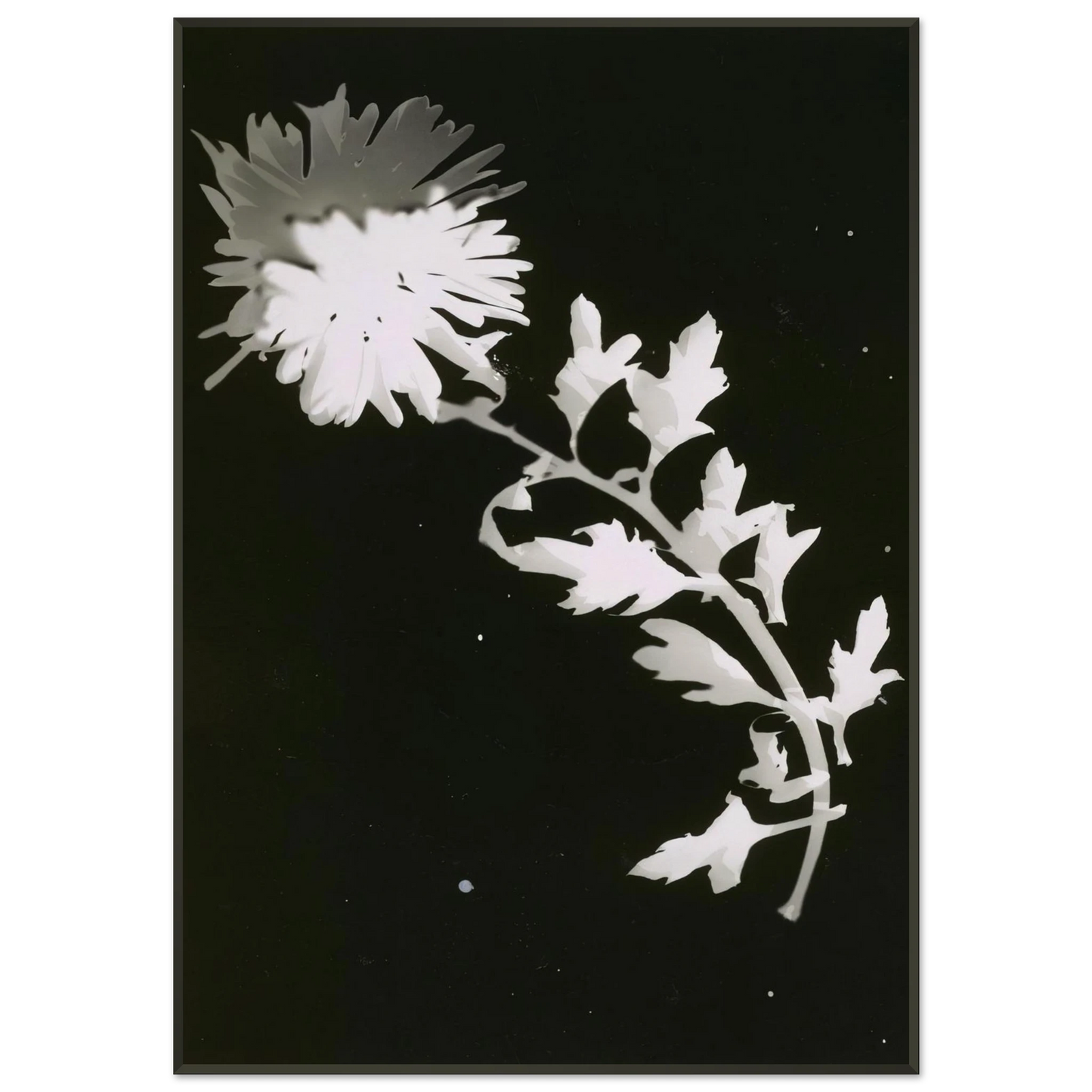 6202822f-d592-4408-a4d2-2403d145b2ac