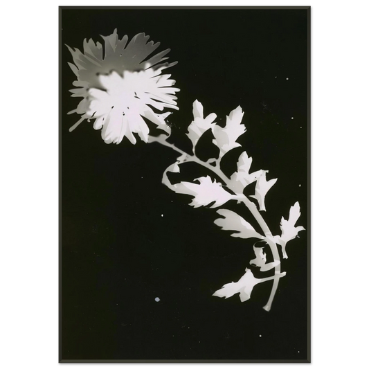 6202822f-d592-4408-a4d2-2403d145b2ac