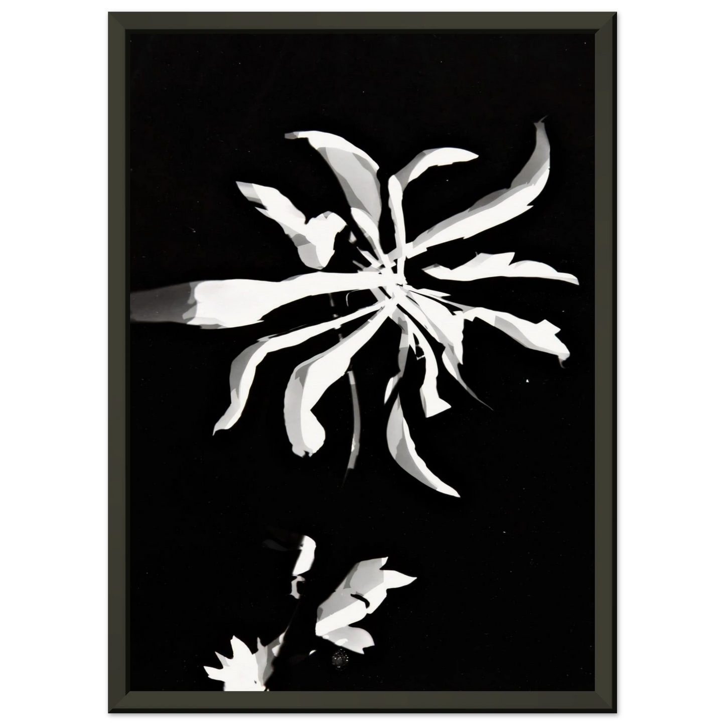 67ec05ac-8839-4e4b-9f65-9506f3bc18e6