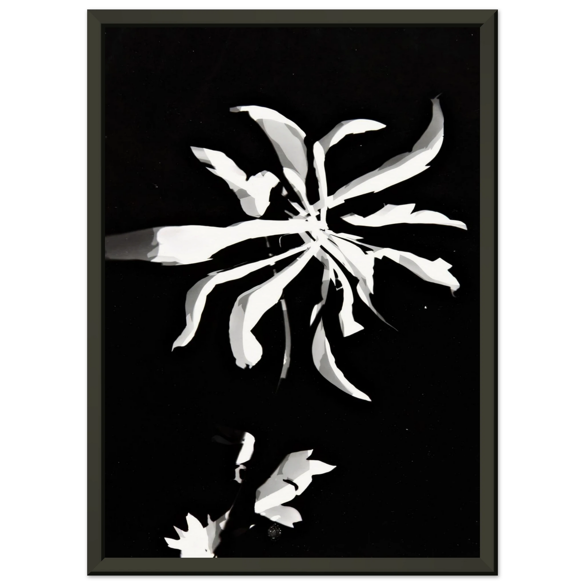 67ec05ac-8839-4e4b-9f65-9506f3bc18e6