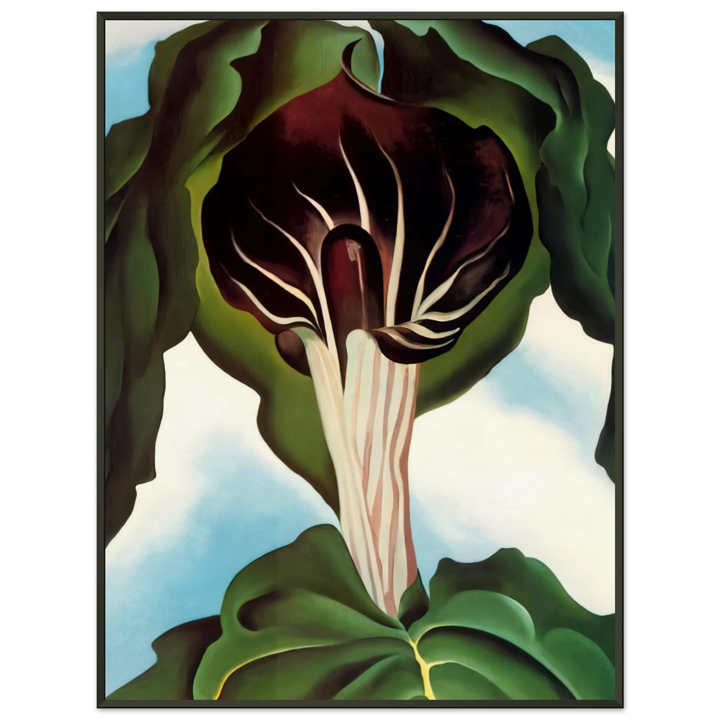 Georgia OKeeffe  JackinthePulpit III Framed Art Print  - Aluminum Frame - 70x100 cm / 28x40 inches