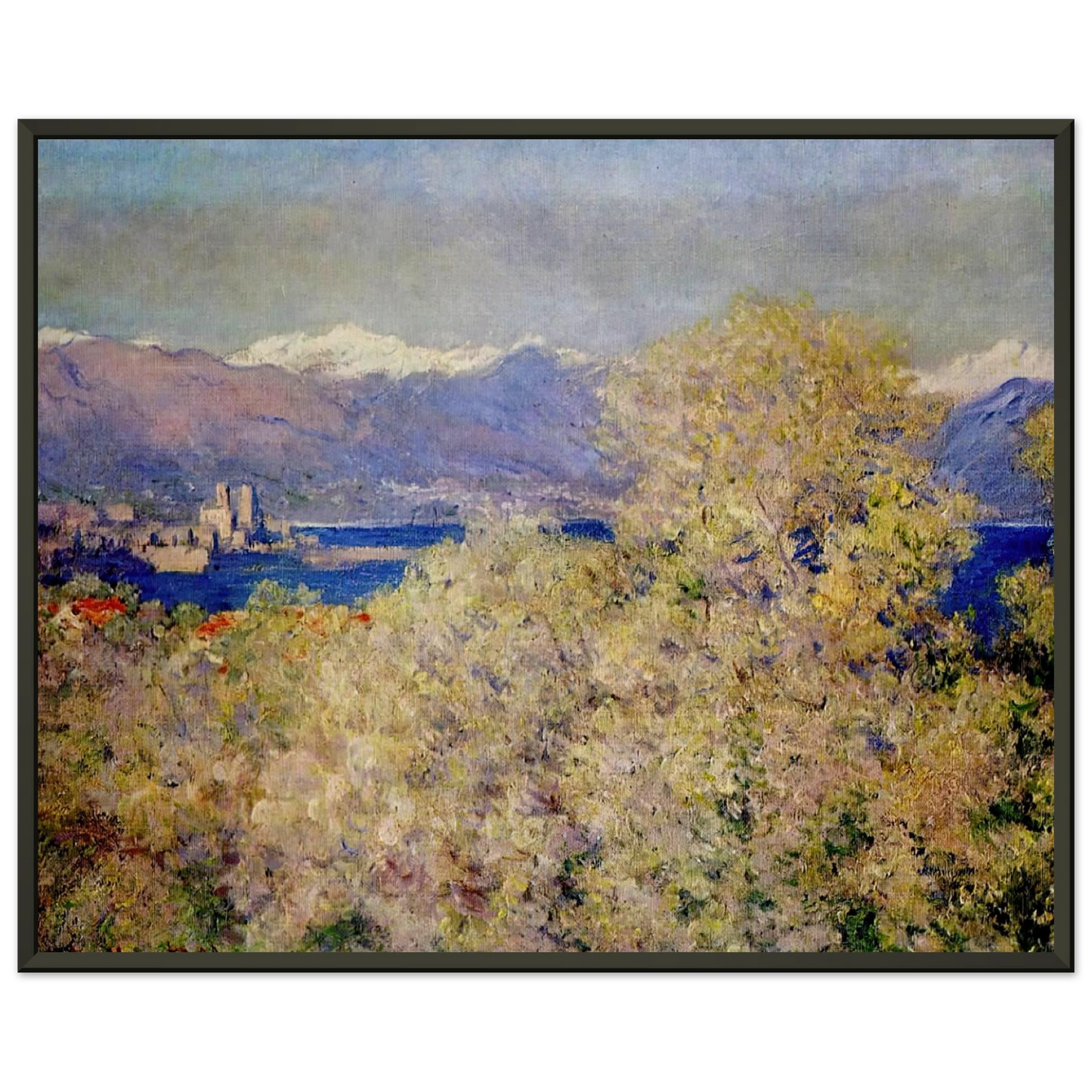 claude monet  Antibes  View of the Salis Gardens Framed Art Print  - Aluminum Frame - 60x80 cm / 24x32 inches