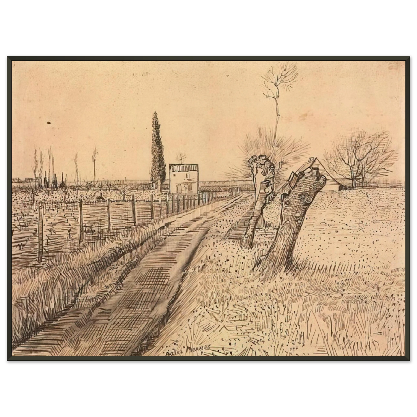 Vincent van Gogh  Landscape with Path and Pollard Trees Framed Art Print  - Aluminum Frame - 40x50 cm / 16x20 inches