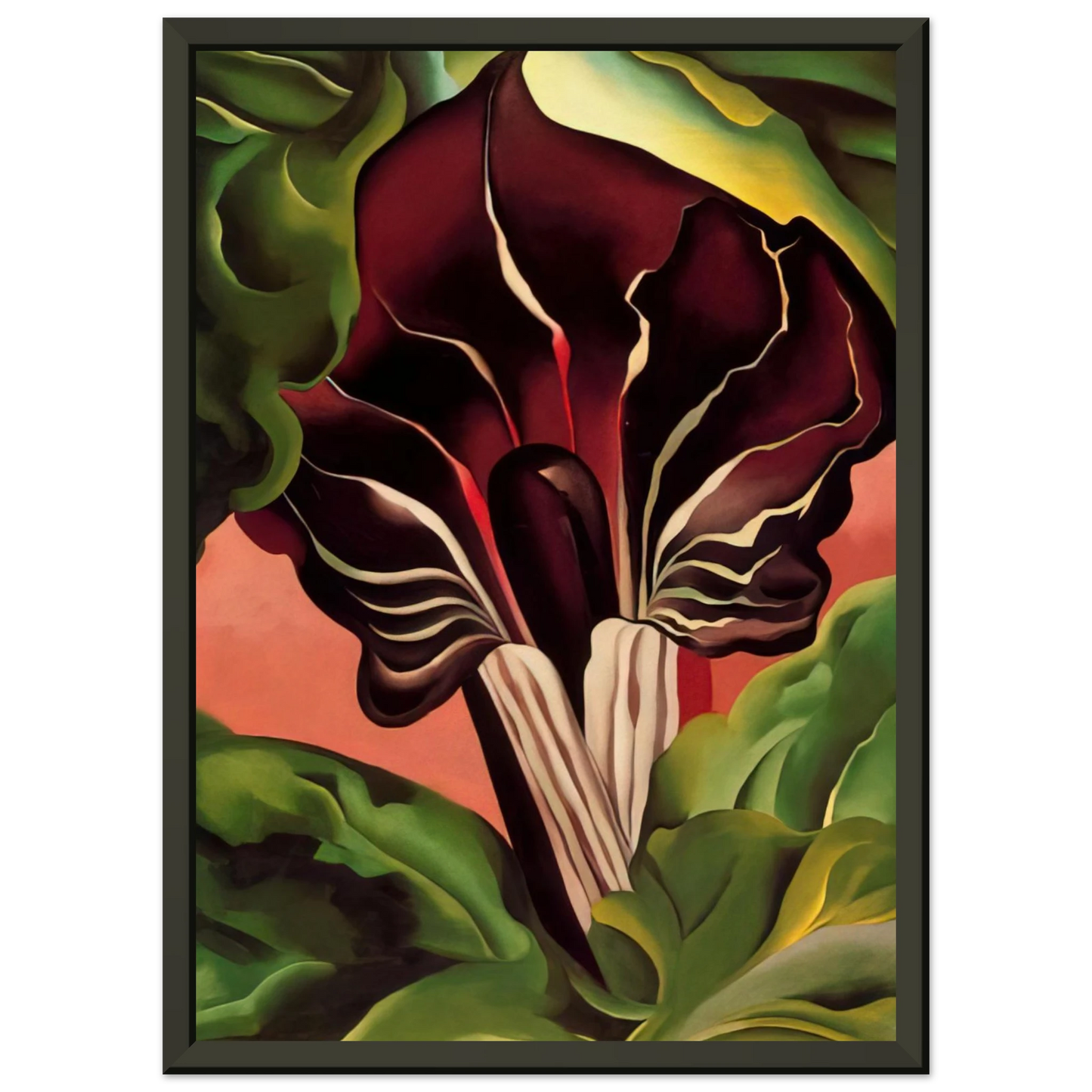 Georgia OKeeffe  JackinthePulpit II Framed Art Print  - Aluminum Frame - 40x50 cm / 16x20 inches