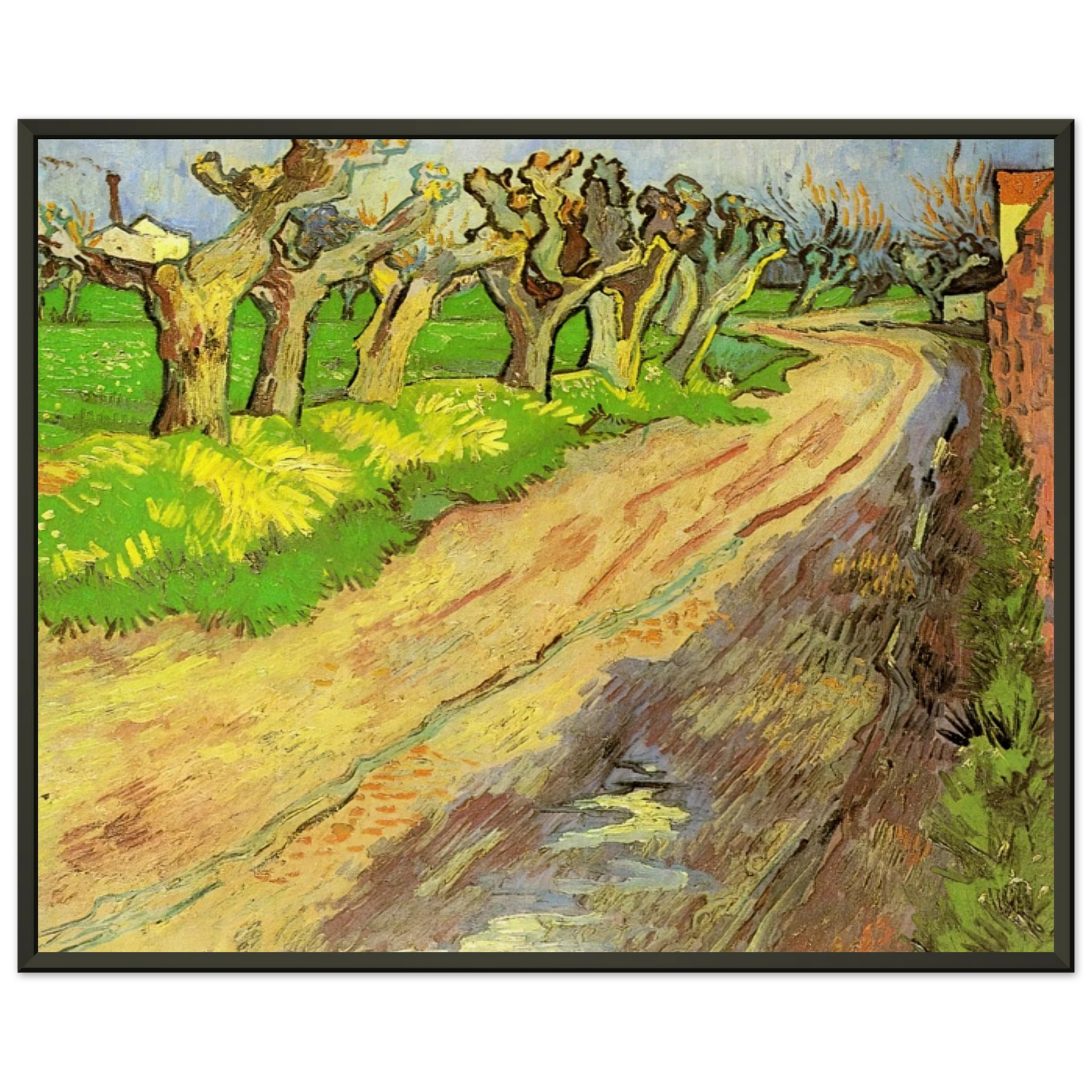 Vincent van Gogh  Pollard Willows Framed Art Print  - Aluminum Frame - 70x100 cm / 28x40 inches