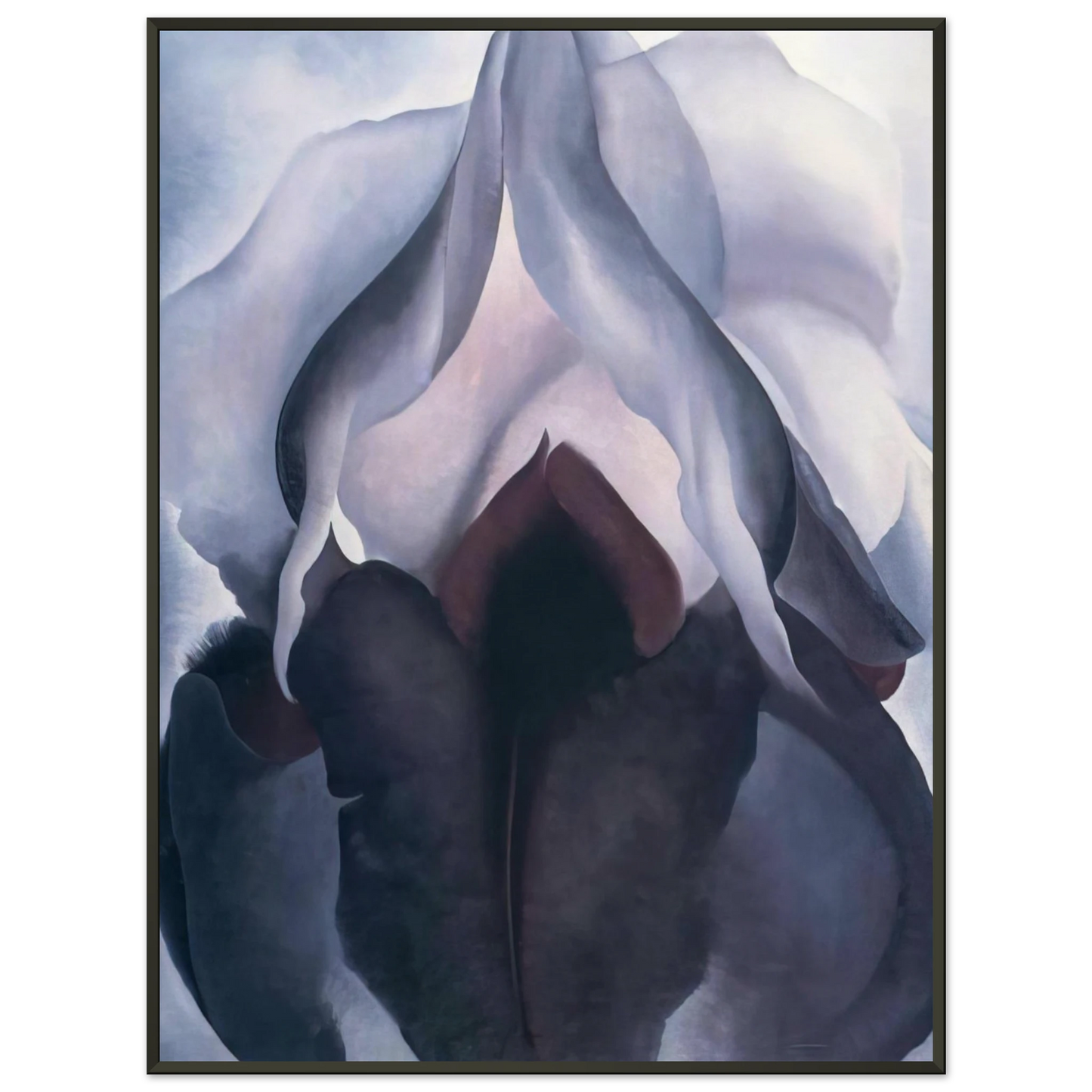Georgia OKeeffe  Black Iris III Framed Art Print  - Aluminum Frame - 40x50 cm / 16x20 inches
