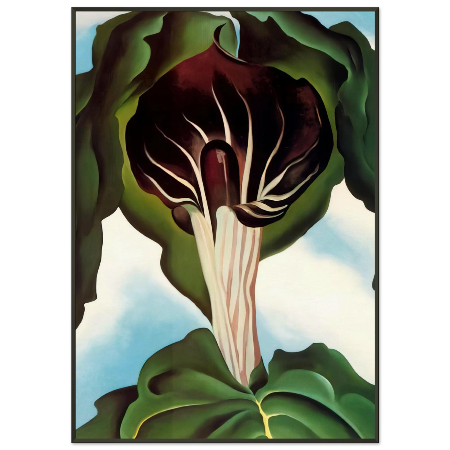 Georgia OKeeffe  JackinthePulpit III Framed Art Print  - Aluminum Frame - 21x29.7 cm / 8x12"