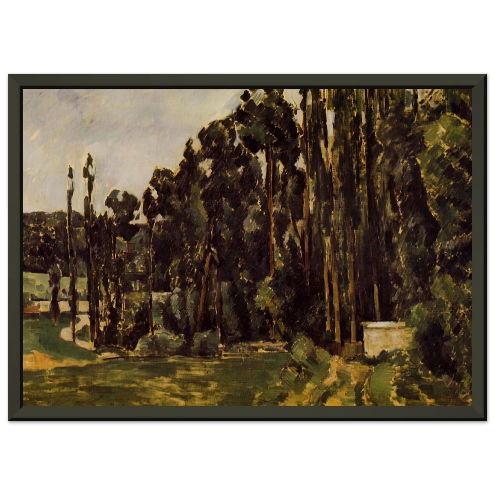 Paul Cezanne  Poplars Framed Art Print  - Aluminum Frame - 60x80 cm / 24x32 inches